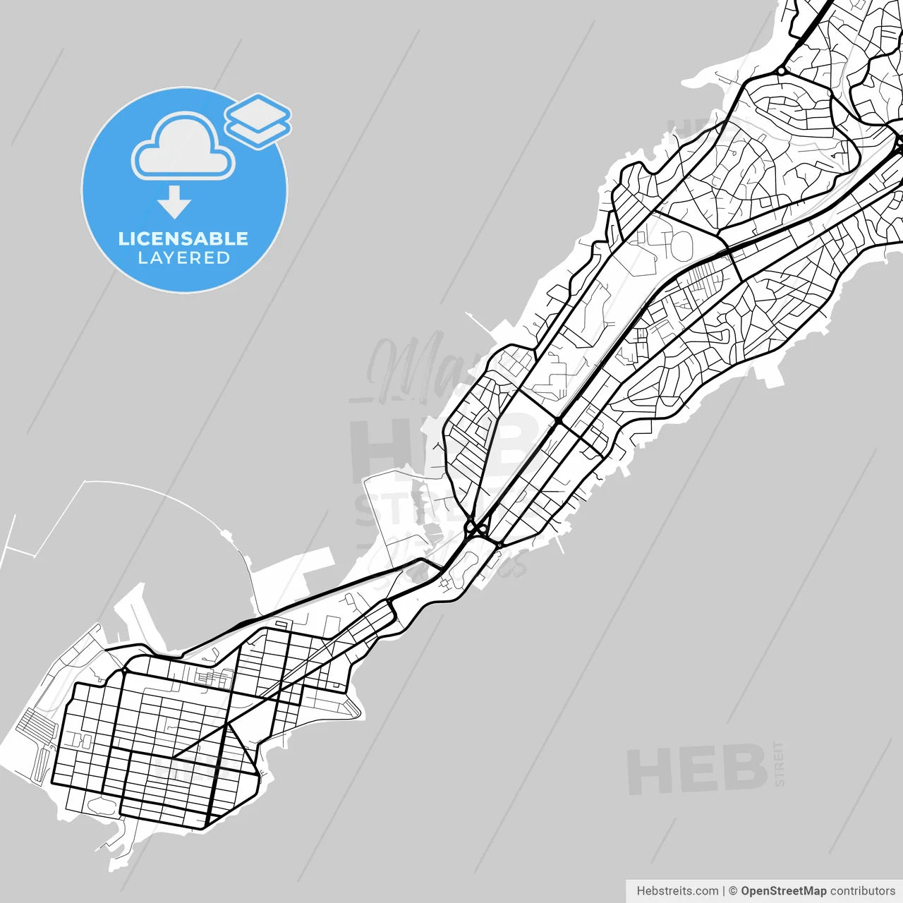 Layered PDF map of Camayenne, Guinea