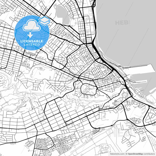Layered PDF map of Port Elizabeth, South Africa