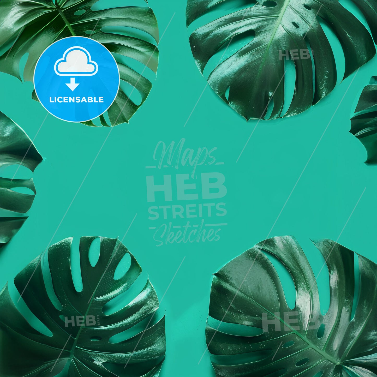 , A solid turquoise single colour background  - A group of green leaves