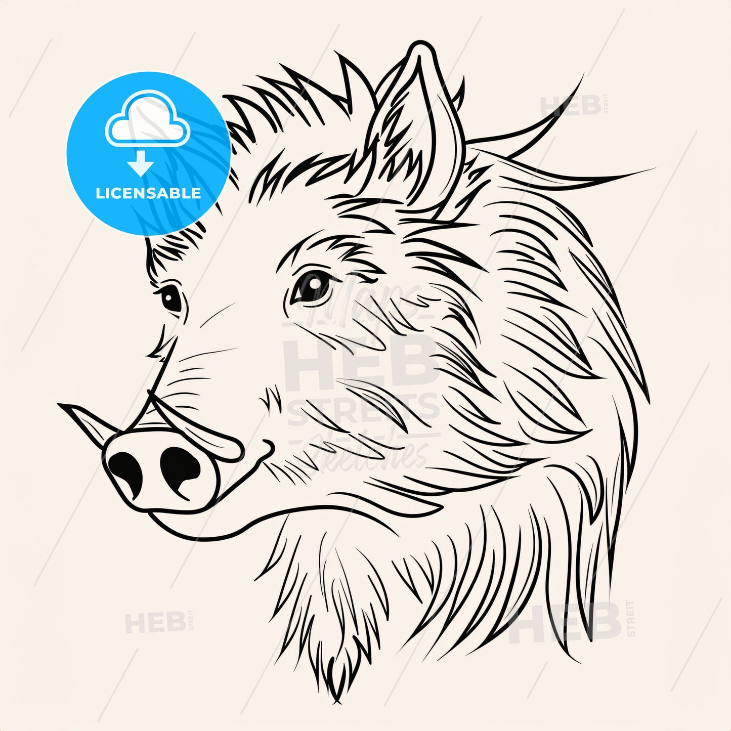 A Wild Boar With Tusks - A Drawing Of A Boars Head