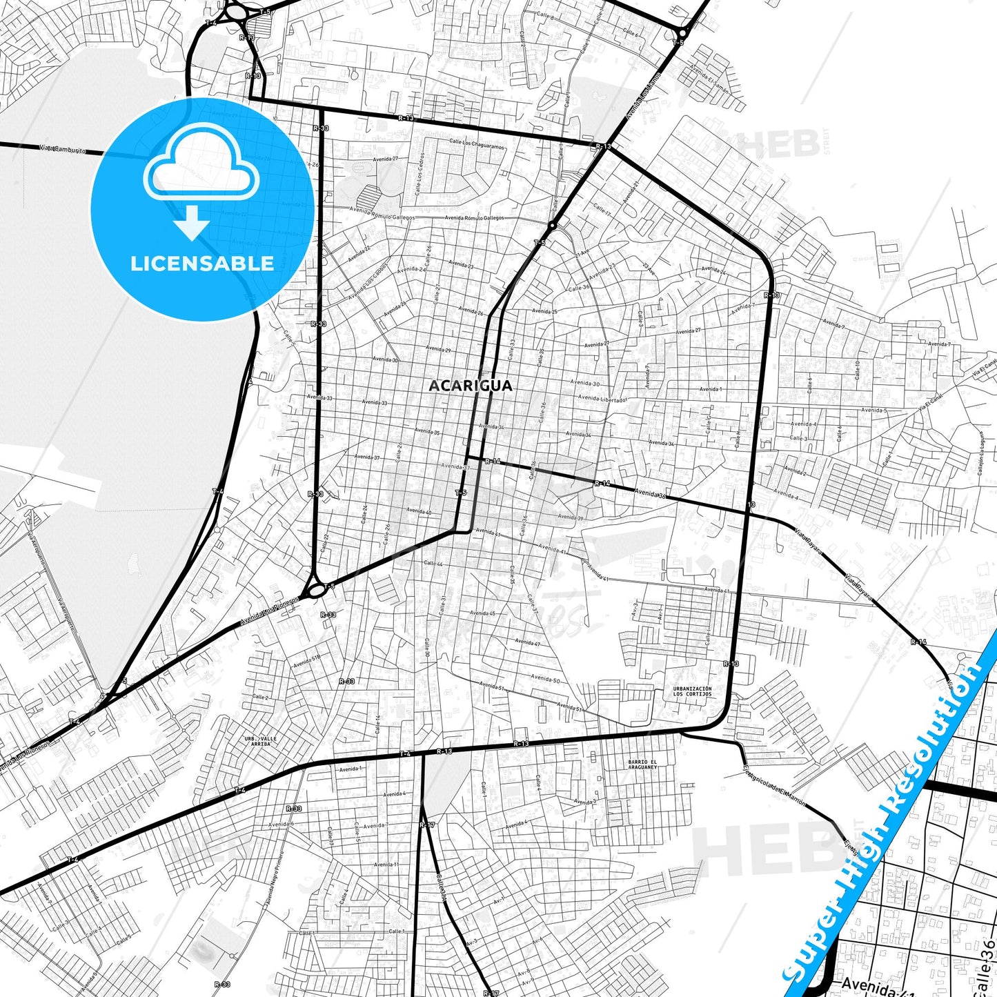Acarigua, Venezuela Light Map with Street Names, City Names, and Districts