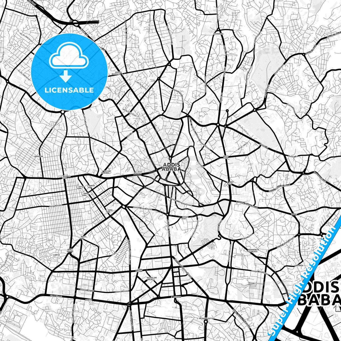 Addis Ababa, Ethiopia Light Map with Street Names, City Names, and Districts