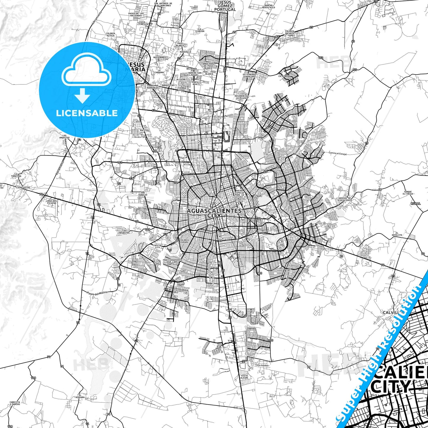 Aguascalientes, Mexico light map with streetnames, citynames and districts