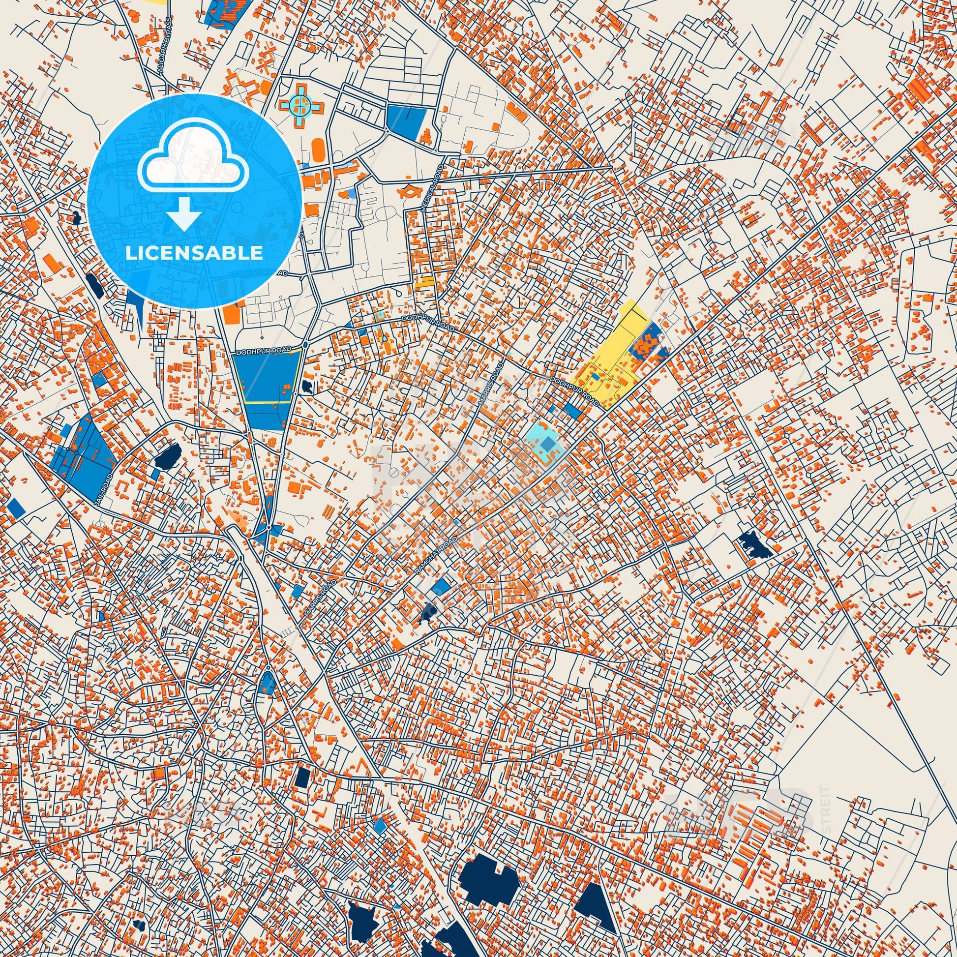 Colorful Aligarh Street Map with Labels and Buildings