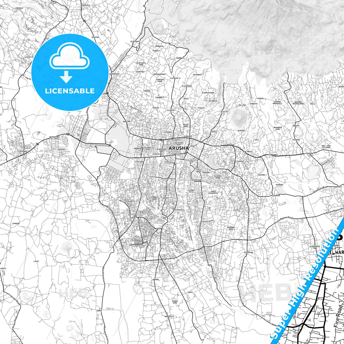 Arusha, Tanzania light map with streetnames, citynames and districts
