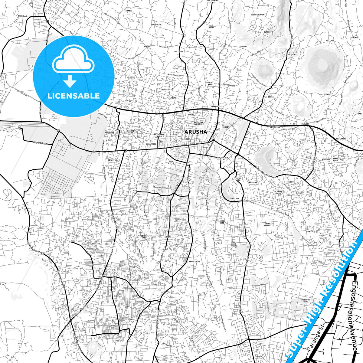 Arusha, Tanzania Light Map with Street Names, City Names, and Districts