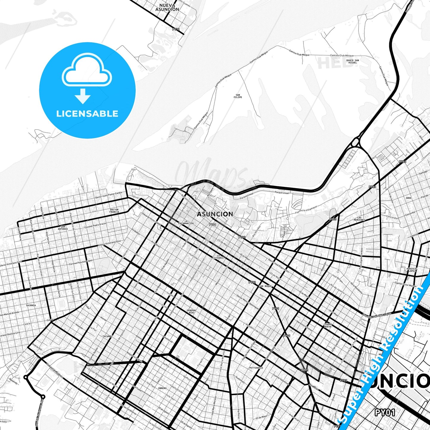 Asuncion, Paraguay Light Map with Street Names, City Names, and Districts