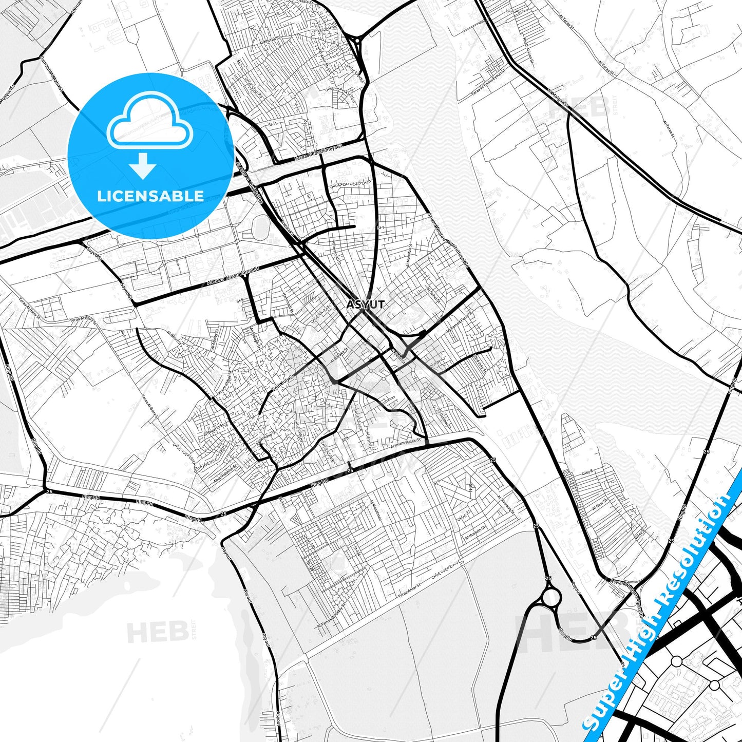 Asyut, Egypt Light Map with Street Names, City Names, and Districts