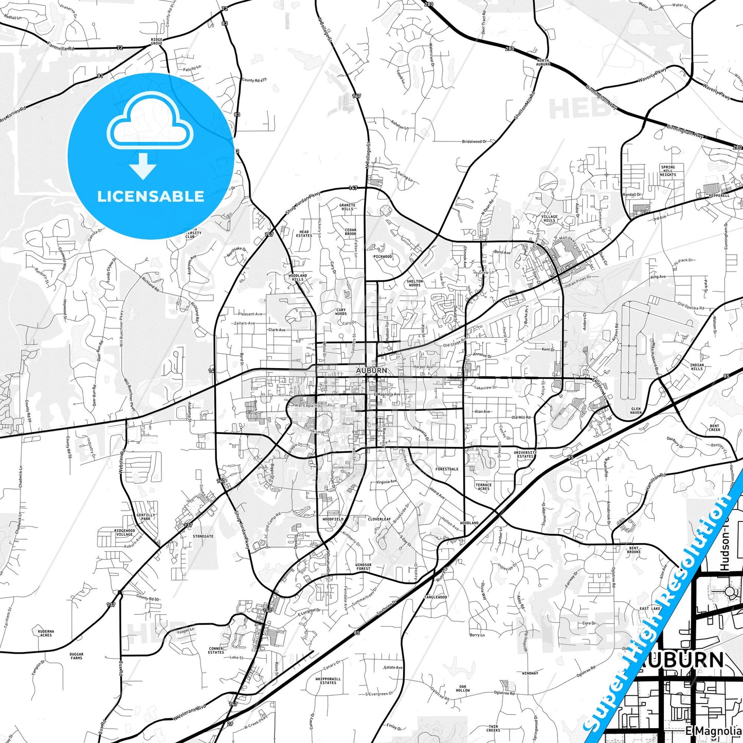 Auburn, Alabama Light Map with Street Names, City Names, and Districts