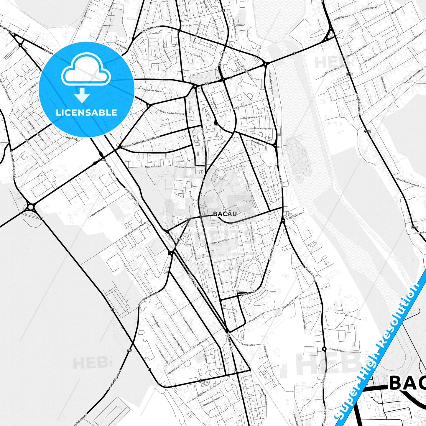 Bacău, Romania Light Map with Street Names, City Names, and Districts
