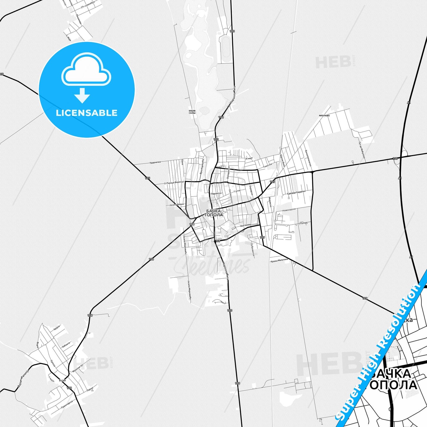 Bačka Topola, Serbia Light Map with Street Names, City Names, and Districts