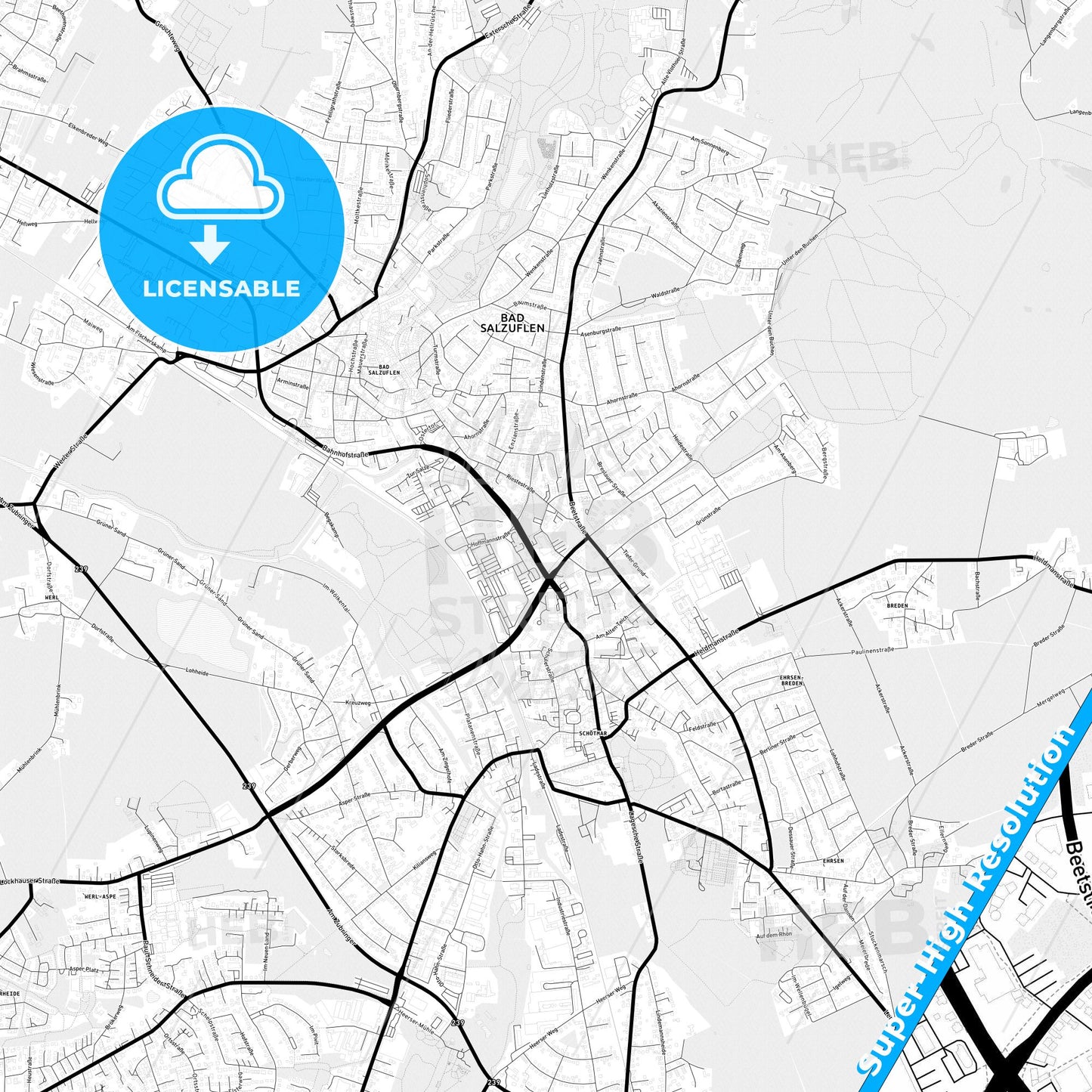 Bad Salzuflen, Germany Light Map with Street Names, City Names, and Districts