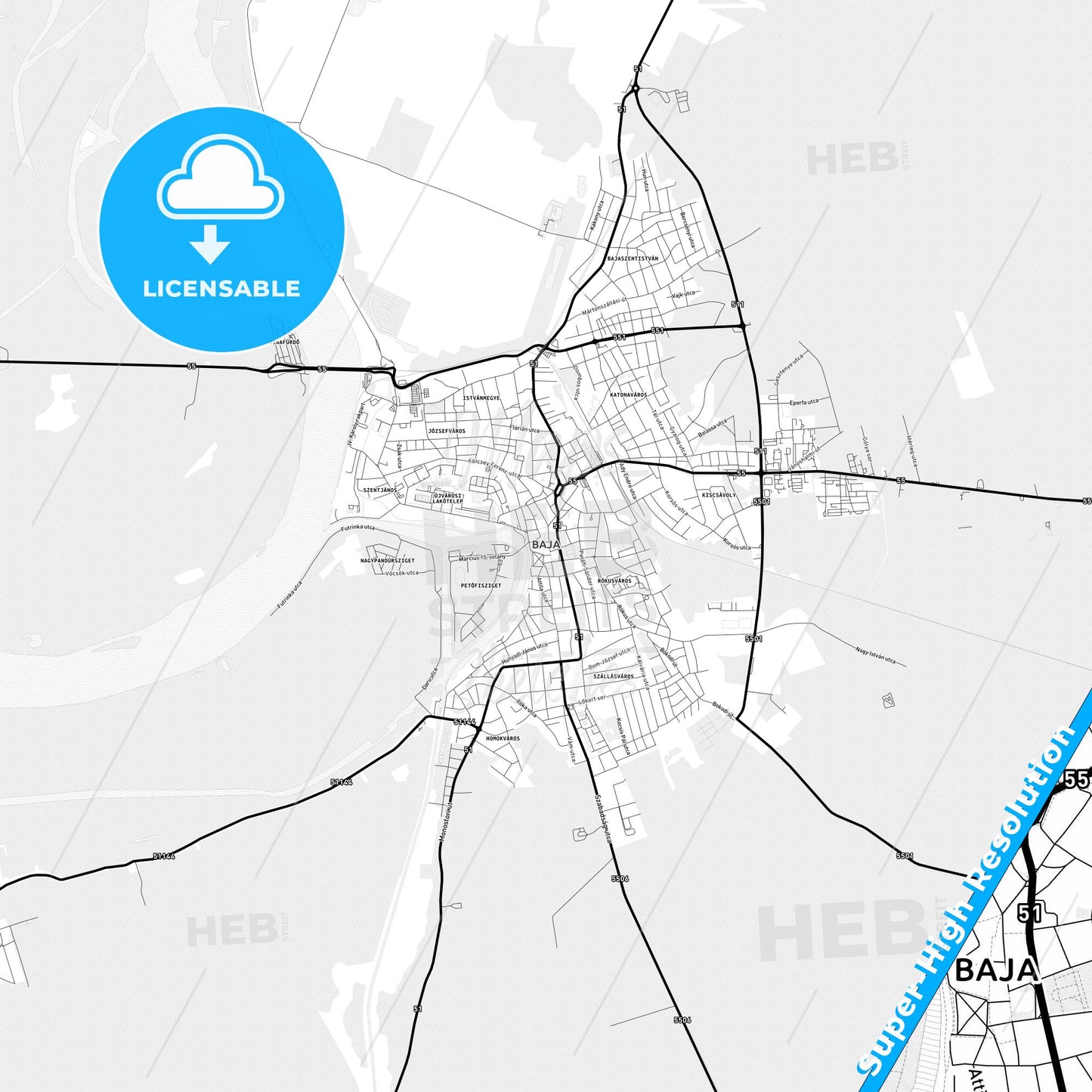 Baja, Hungary Light Map with Street Names, City Names, and Districts