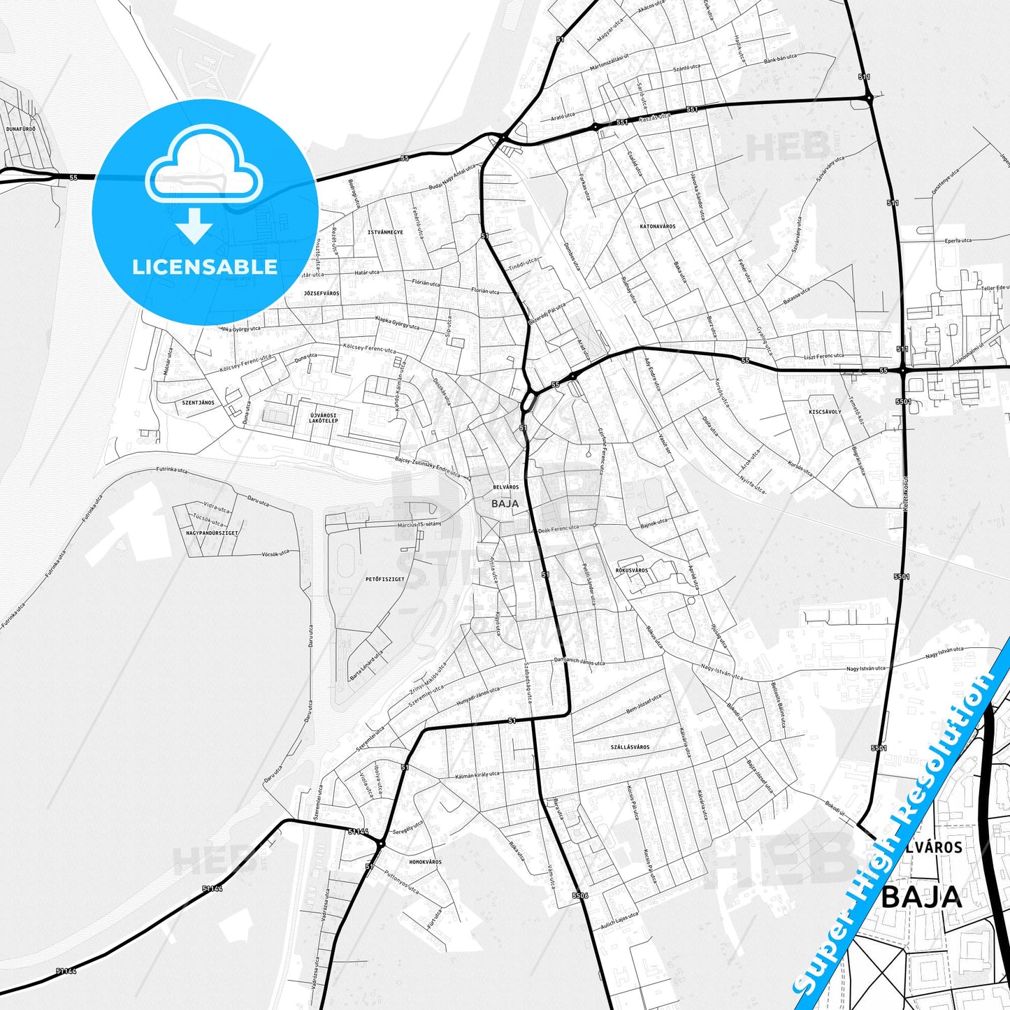 Baja, Hungary Light Map with Street Names, City Names, and Districts