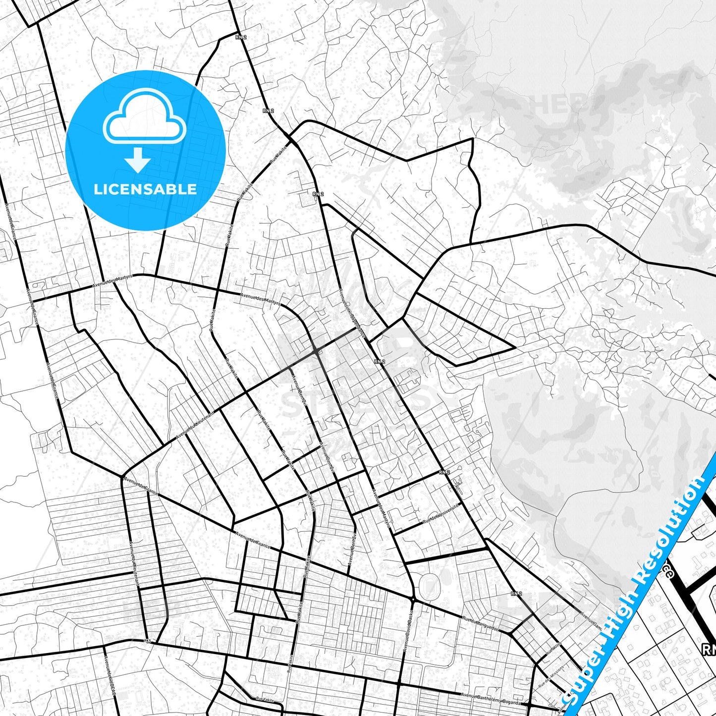 Bangui, Central African Republic Light Map with Street Names, City Names, and Districts
