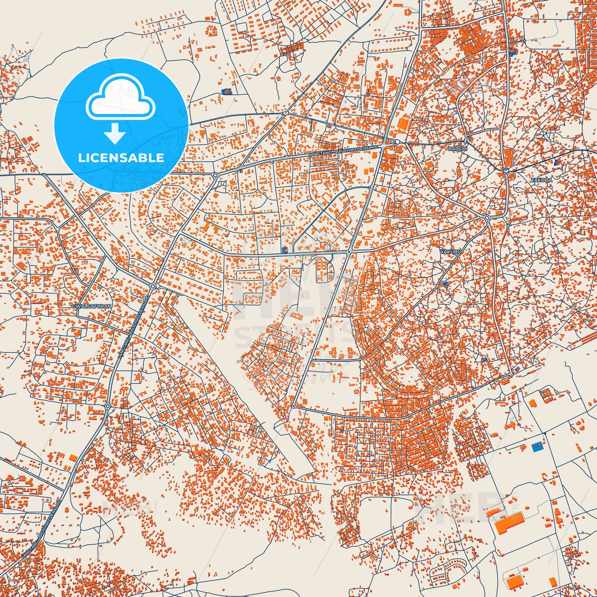 Colorful Bauchi Street Map with Labels and Buildings