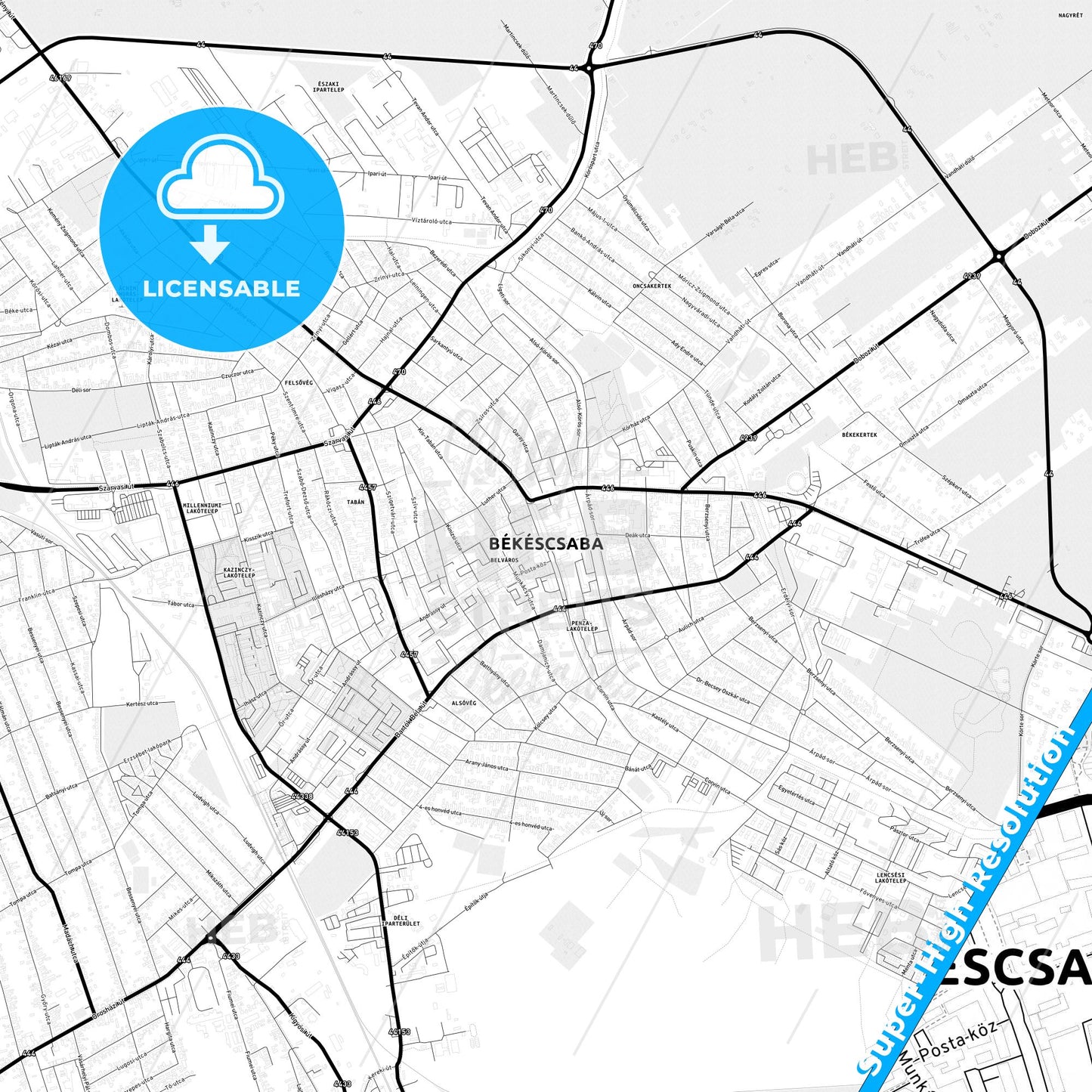 Békéscsaba, Hungary Light Map with Street Names, City Names, and Districts