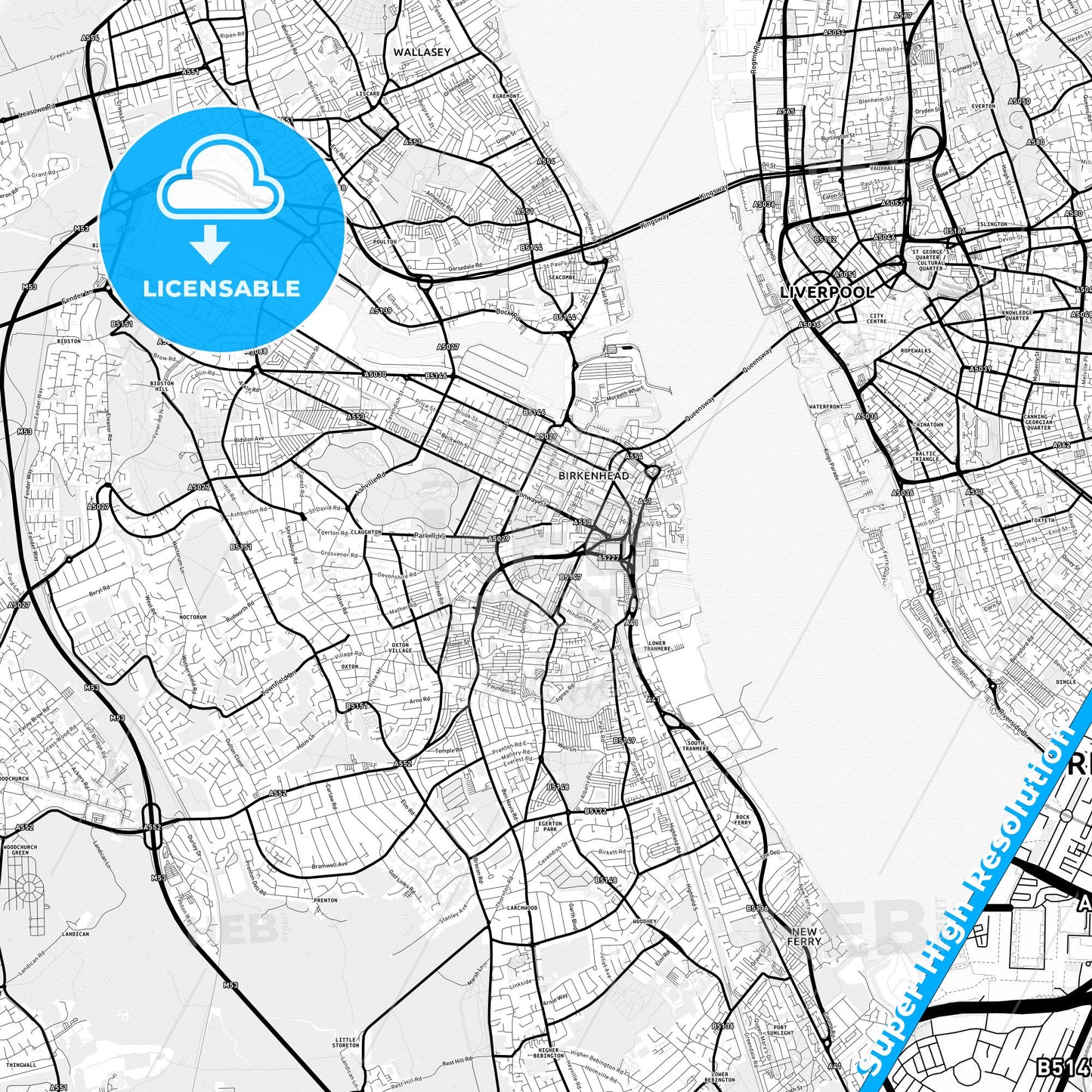 Birkenhead, England Light Map with Street Names, City Names, and Districts