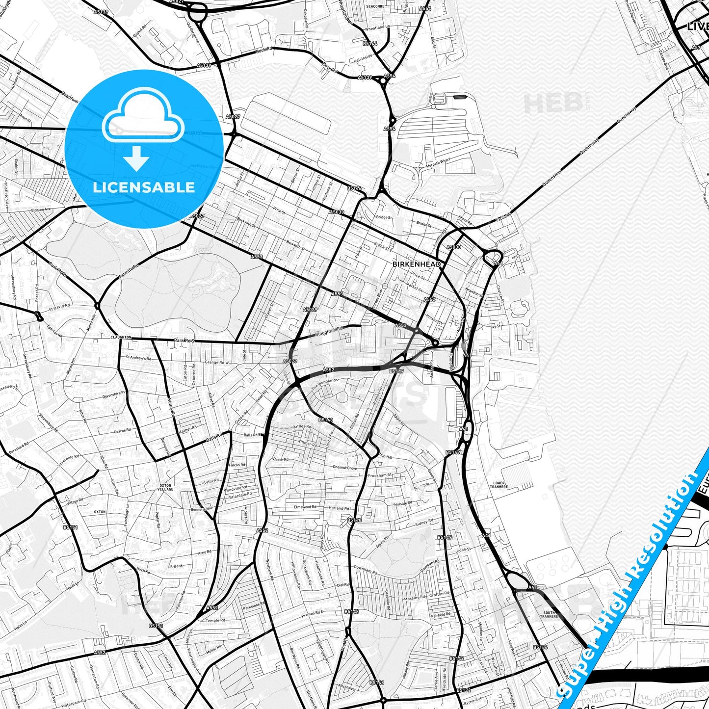 Birkenhead, England Light Map with Street Names, City Names, and Districts