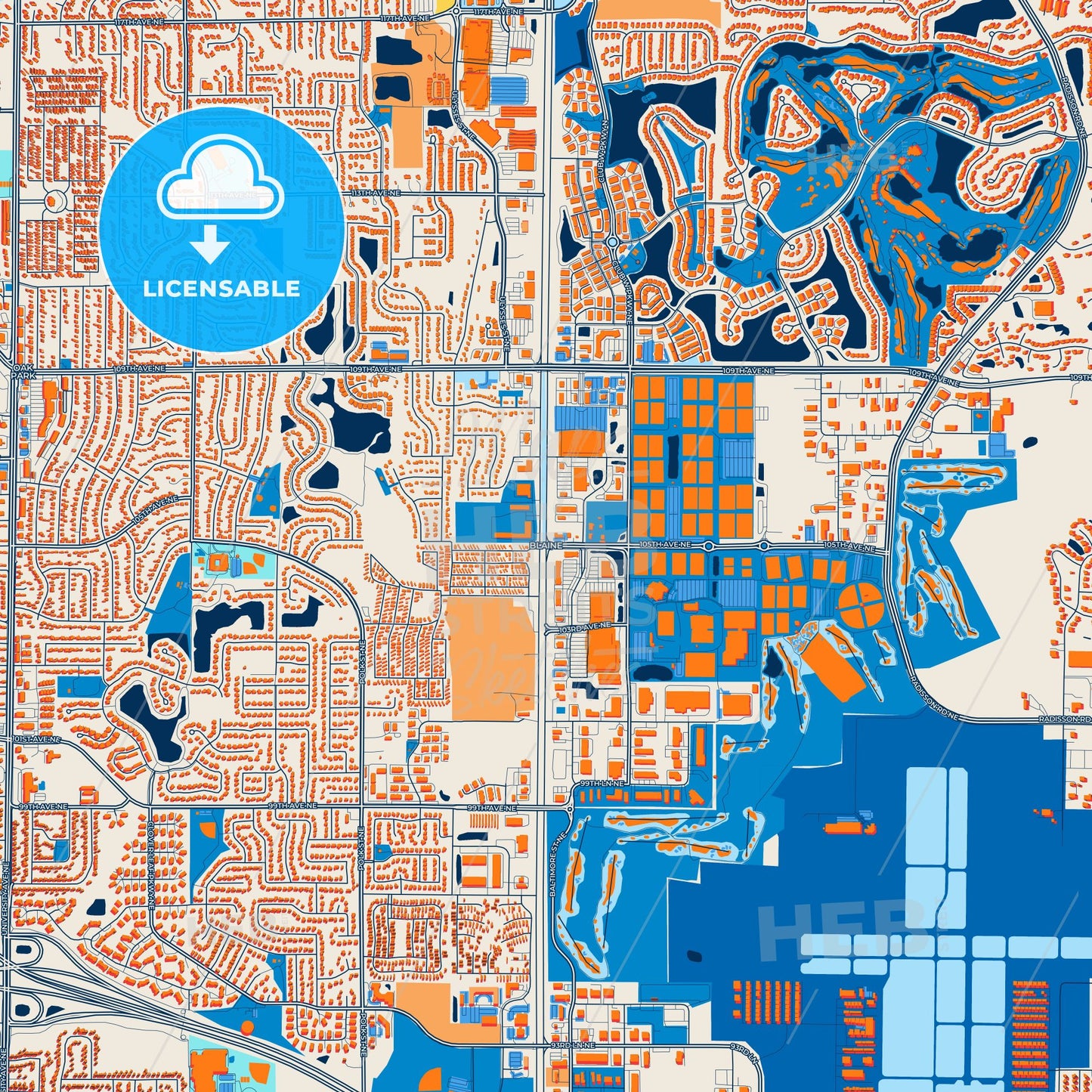 Colorful Blaine Street Map with Labels and Buildings