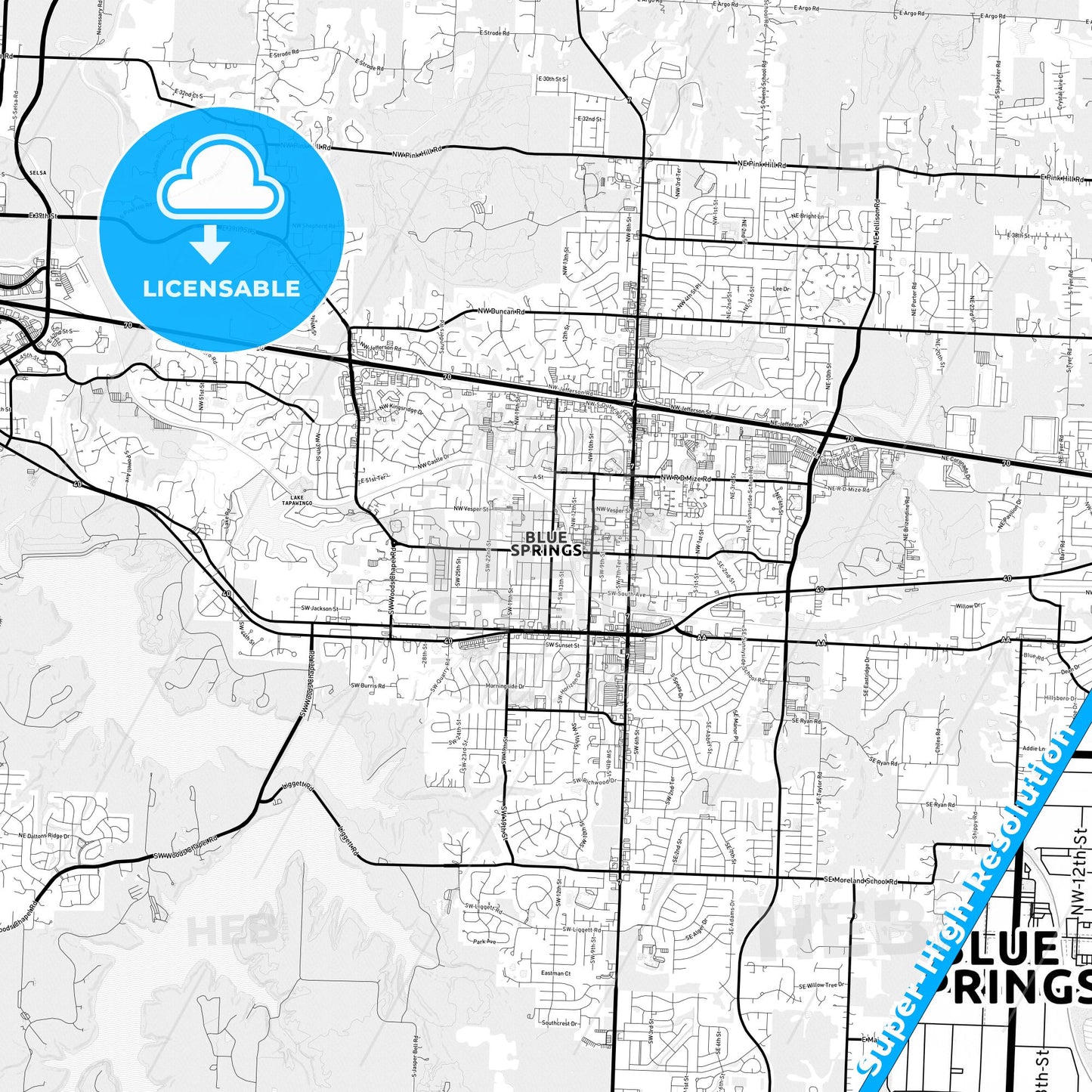 Blue Springs, Missouri Light Map with Street Names, City Names, and Districts