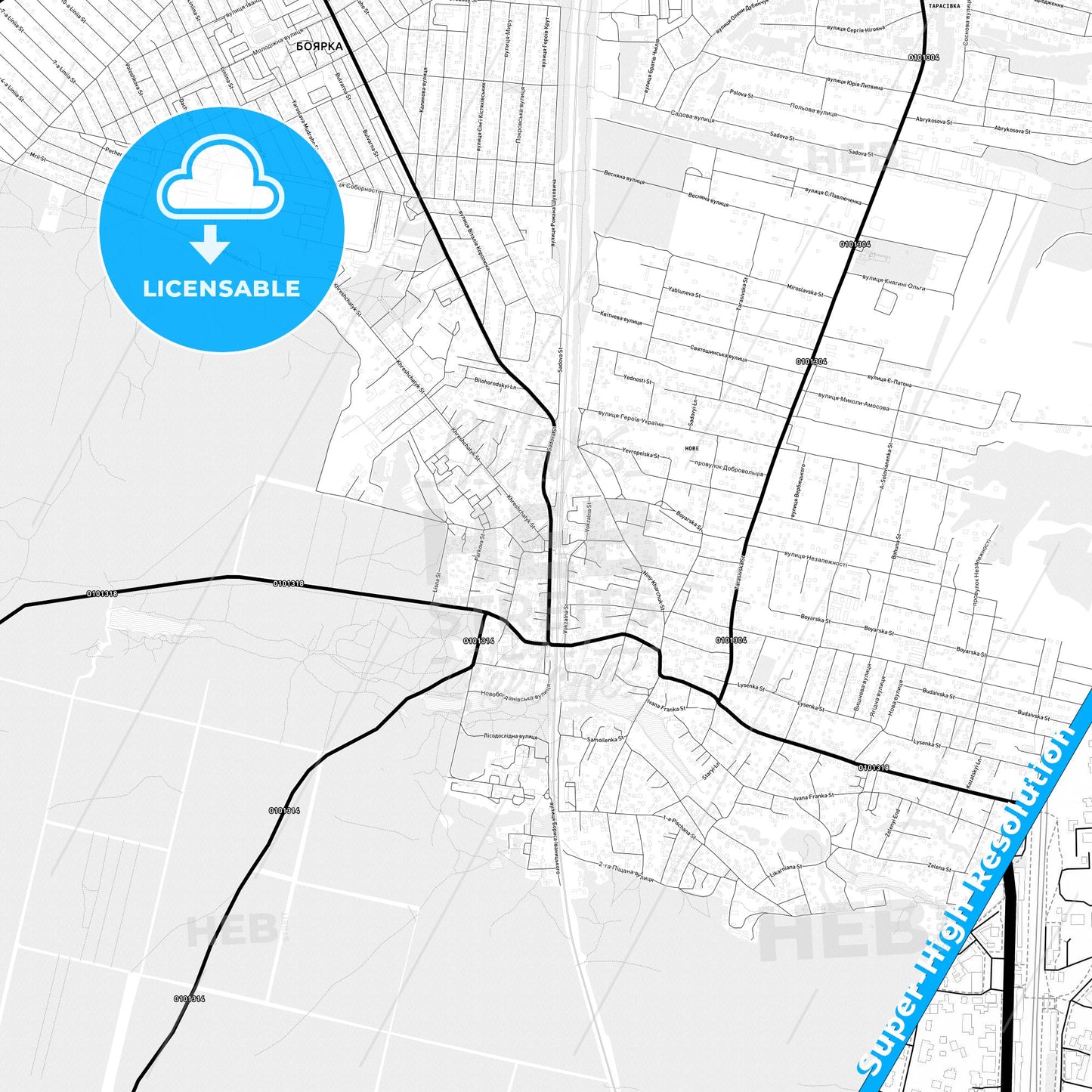 Boiarka, Ukraine Light Map with Street Names, City Names, and Districts