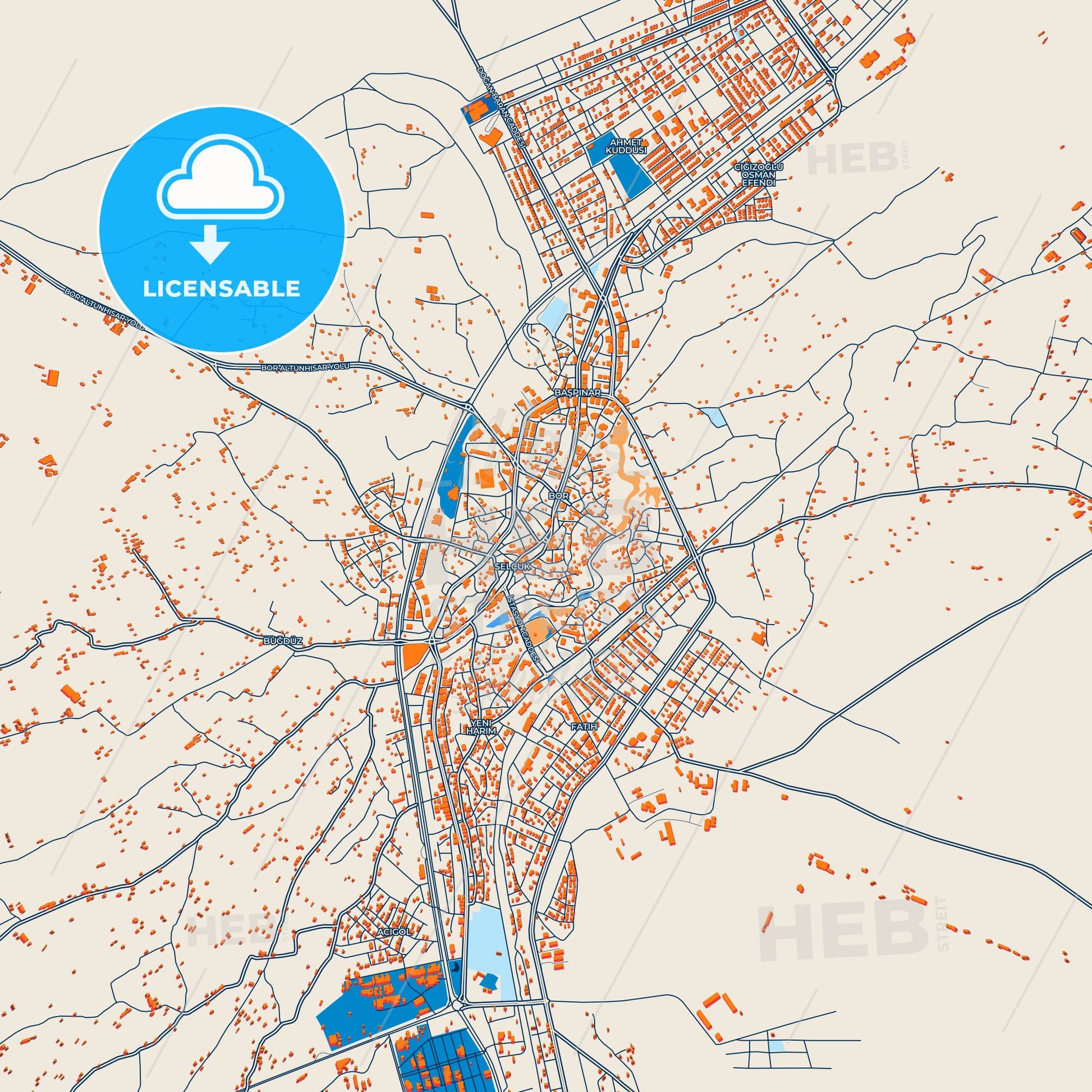 Colorful Bor Street Map with Labels and Buildings
