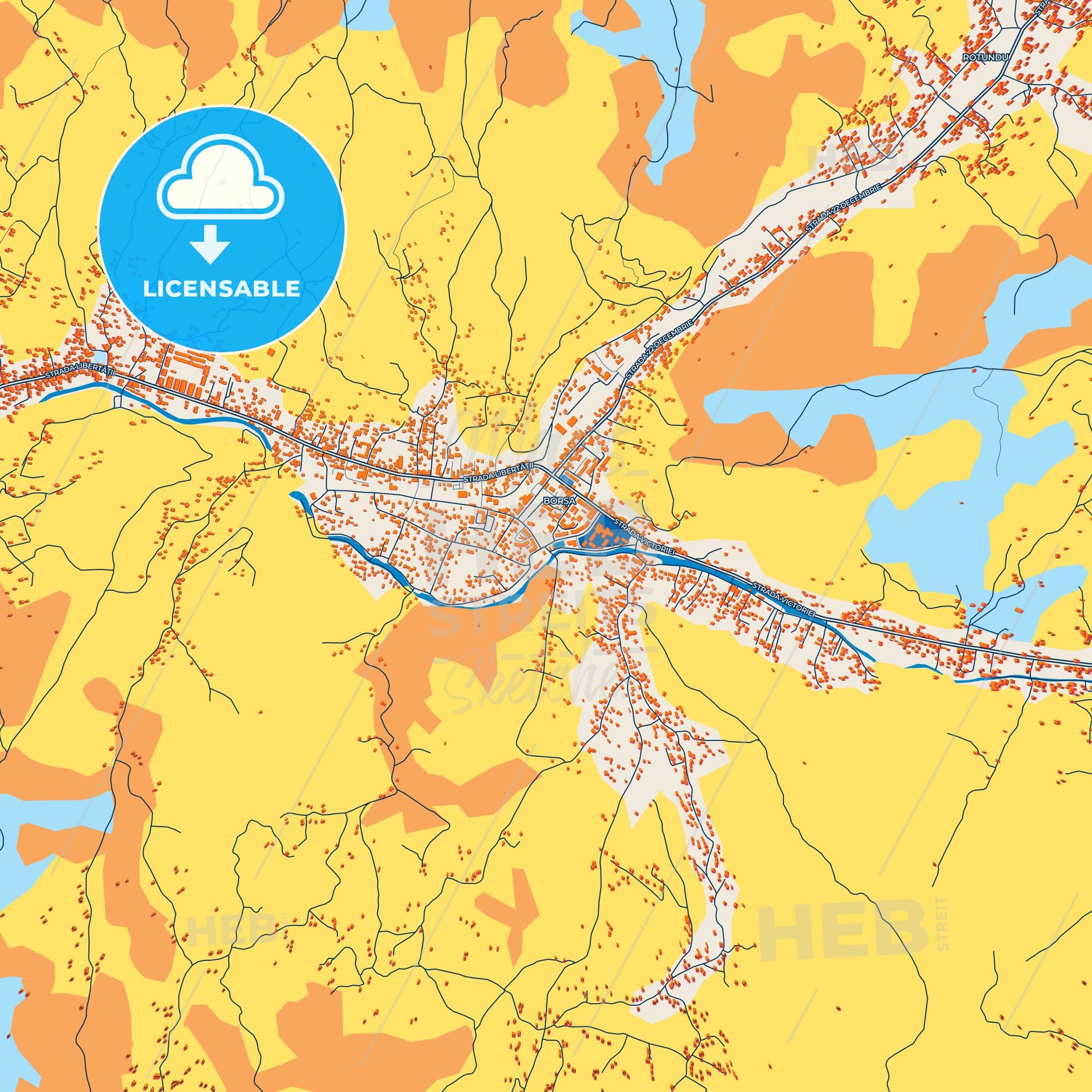 Colorful Borșa Street Map with Labels and Buildings