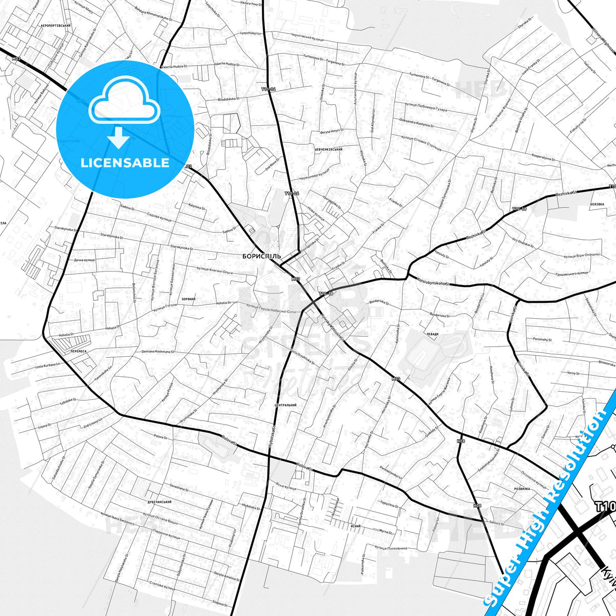 Boryspil, Ukraine Light Map with Street Names, City Names, and Districts