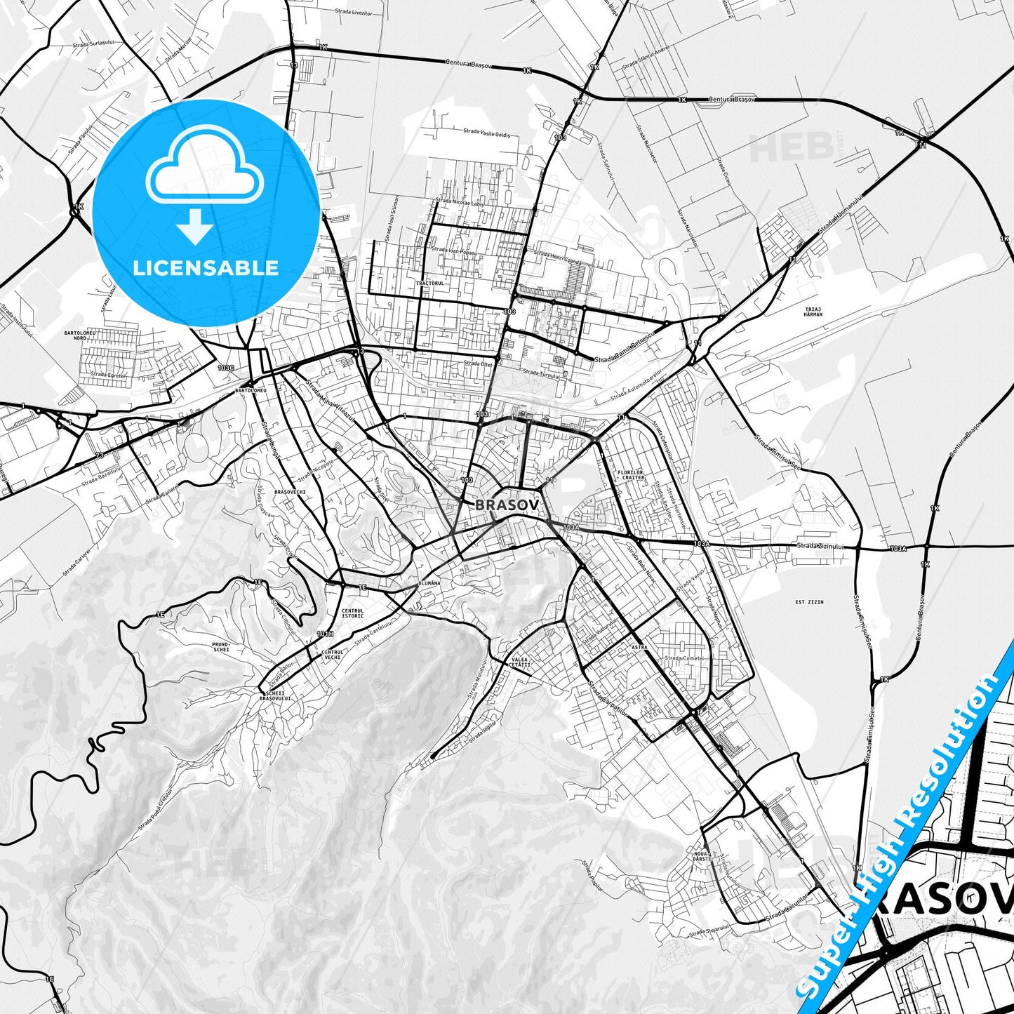 Brașov, Romania Light Map with Street Names, City Names, and Districts