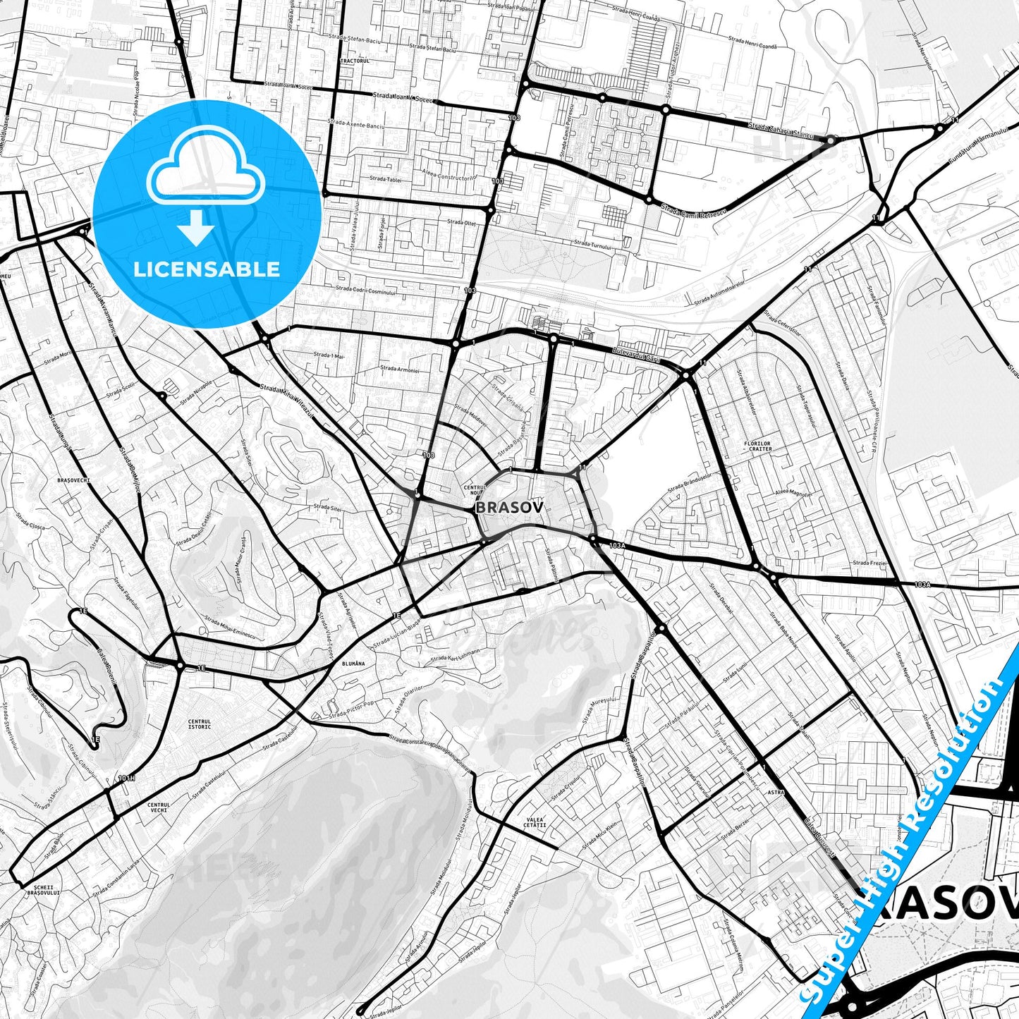 Brașov, Romania Light Map with Street Names, City Names, and Districts