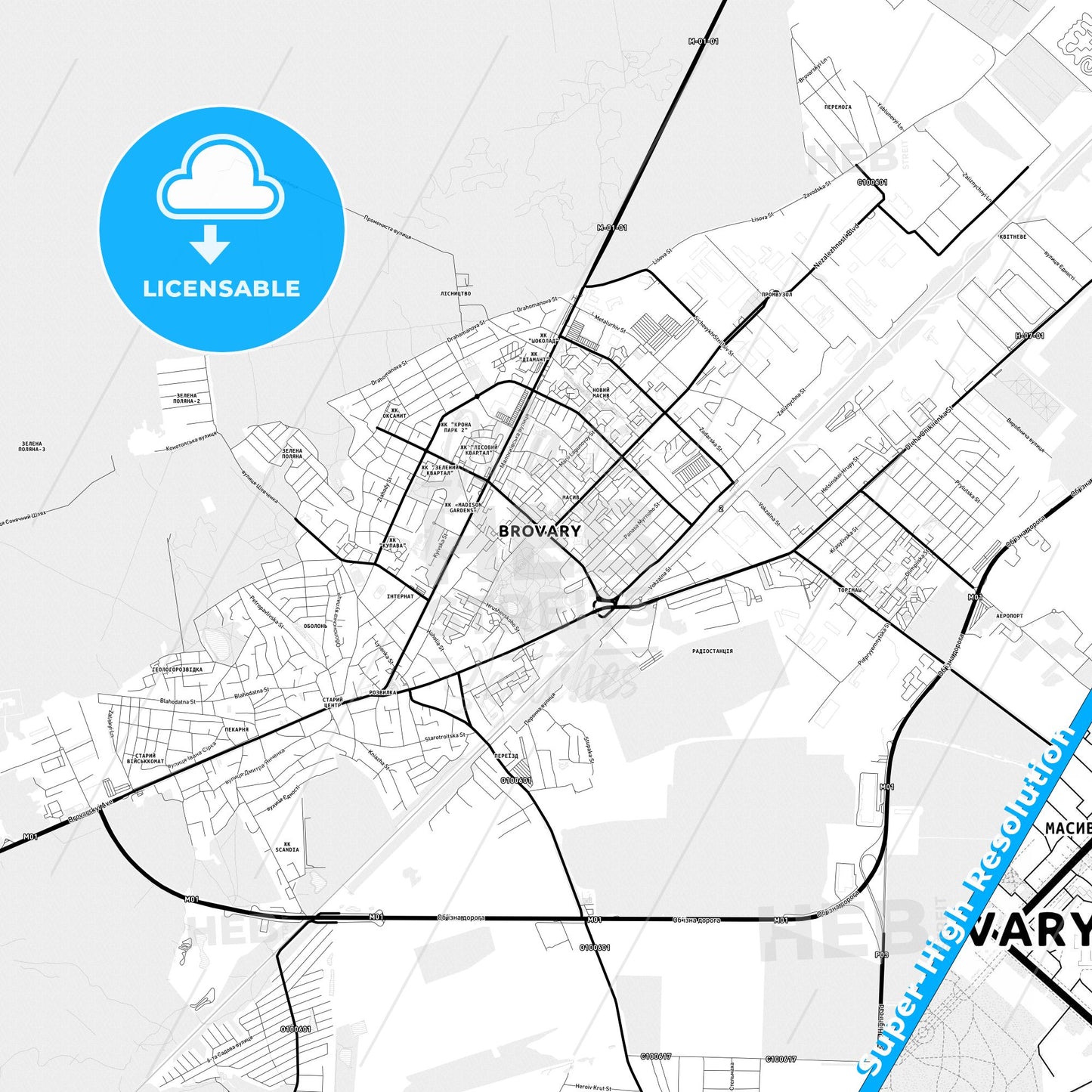 Brovary, Ukraine Light Map with Street Names, City Names, and Districts