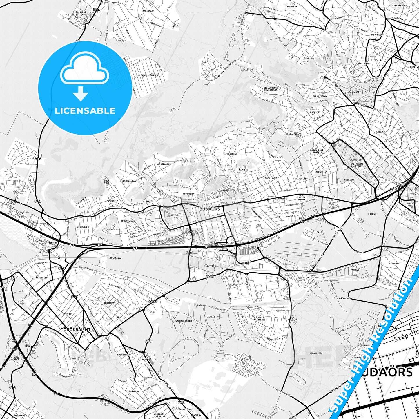 Budaörs, Hungary Light Map with Street Names, City Names, and Districts