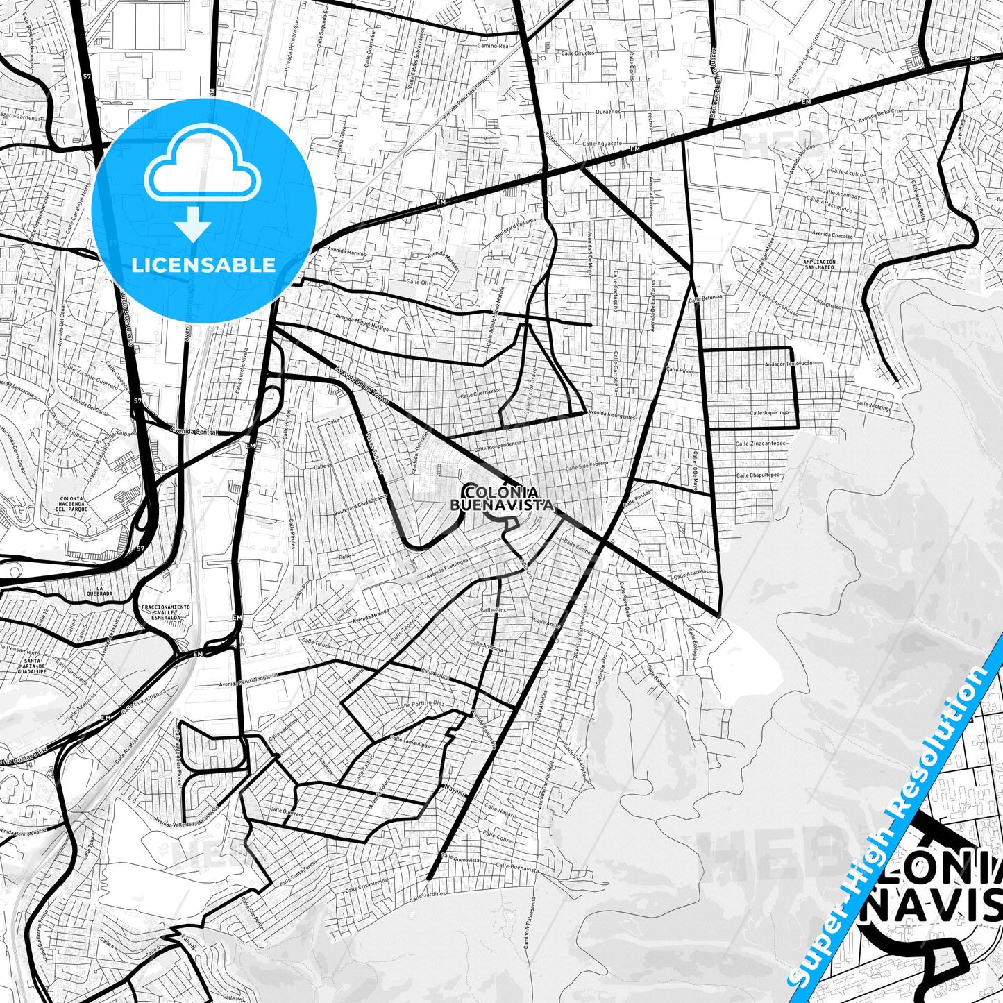 Buenavista, Mexico Light Map with Street Names, City Names, and Districts