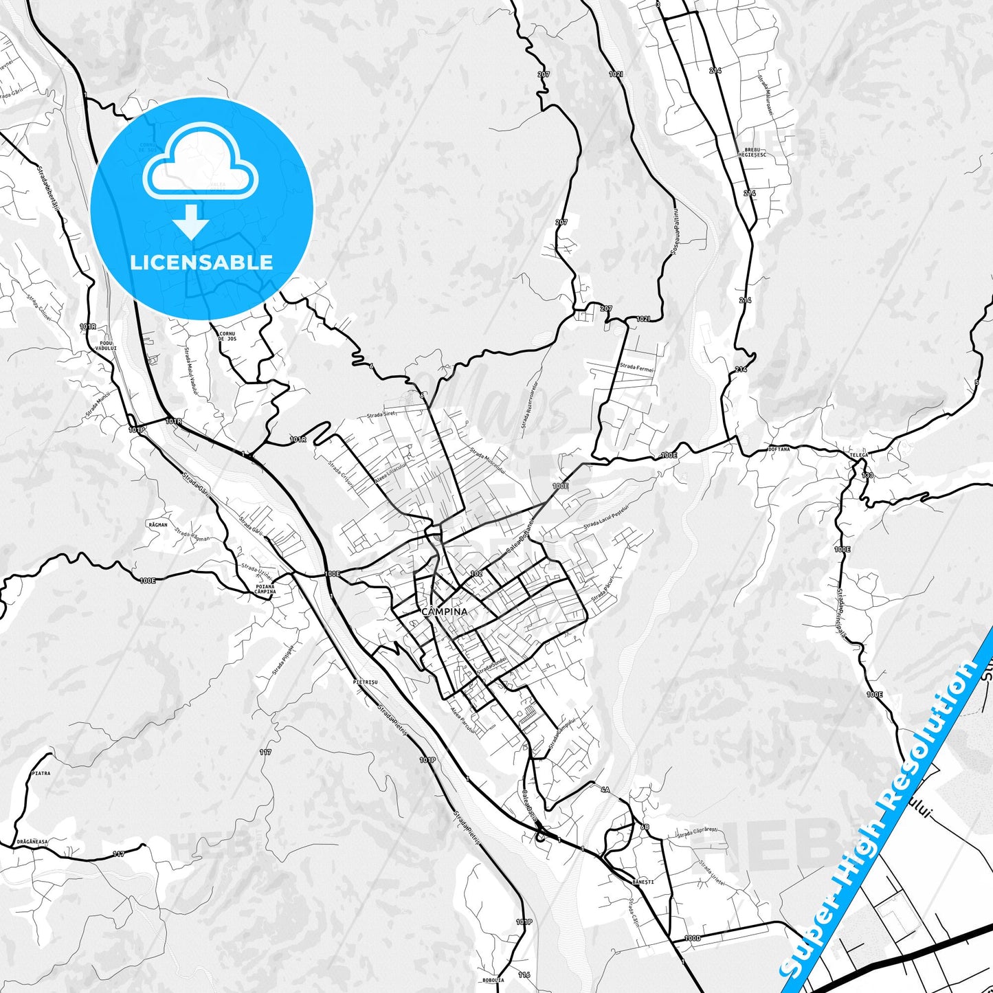 Câmpina, Romania Light Map with Street Names, City Names, and Districts