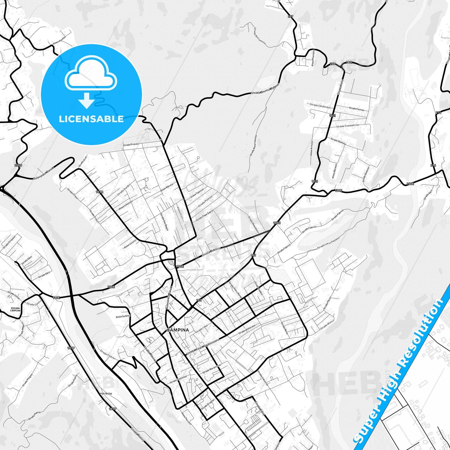 Câmpina, Romania Light Map with Street Names, City Names, and Districts