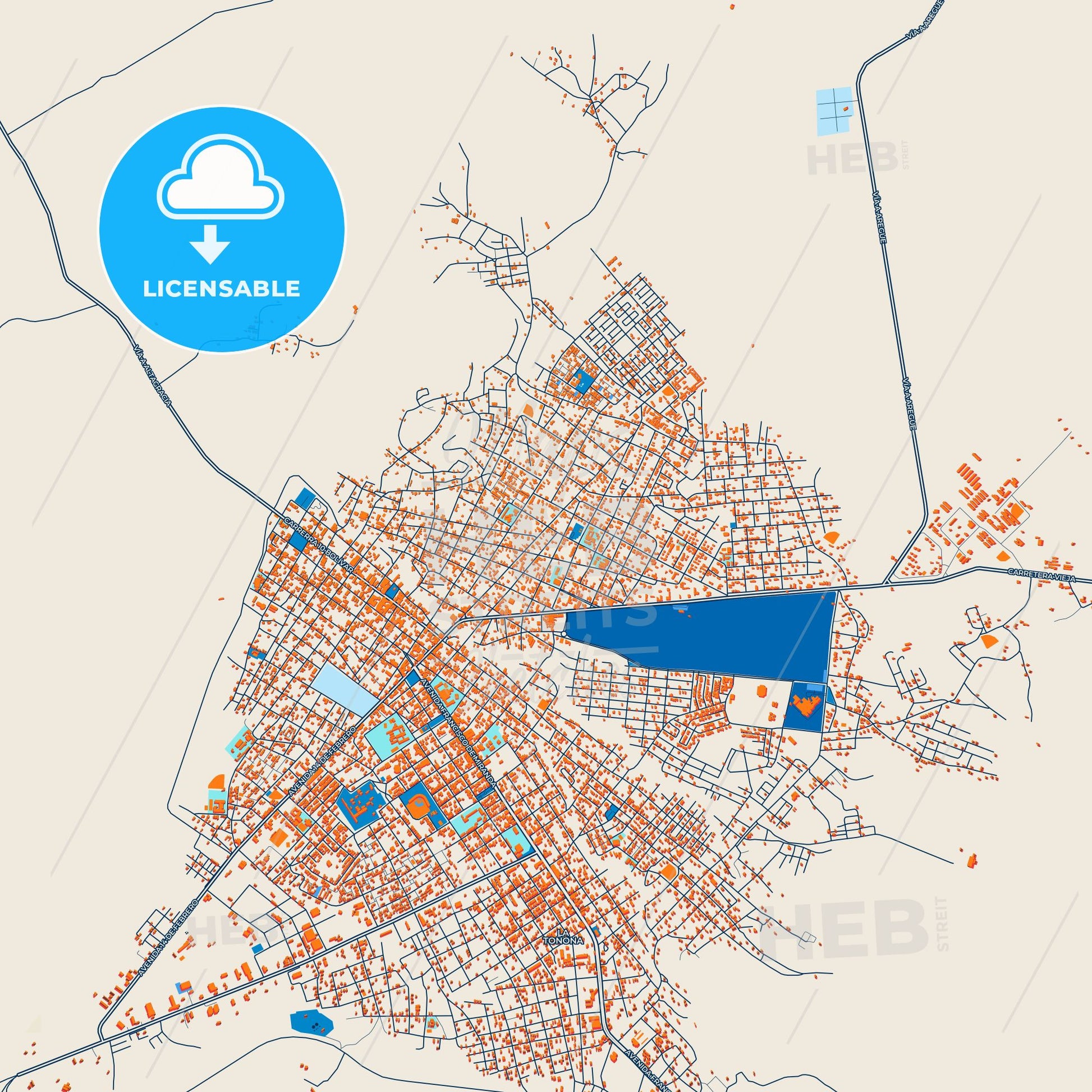 Colorful Carora Street Map with Labels and Buildings