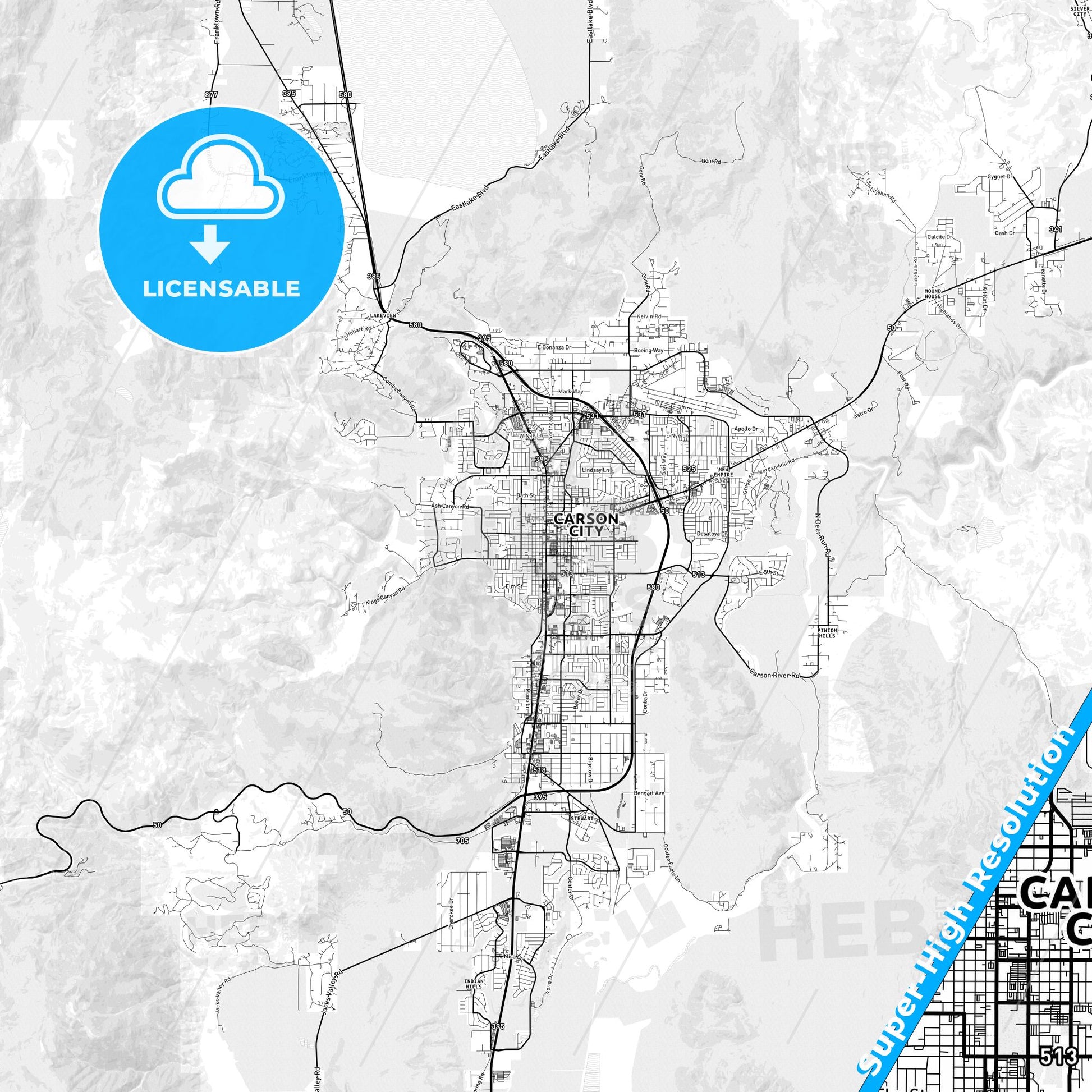 Carson City, Nevada light map with streetnames, citynames and districts