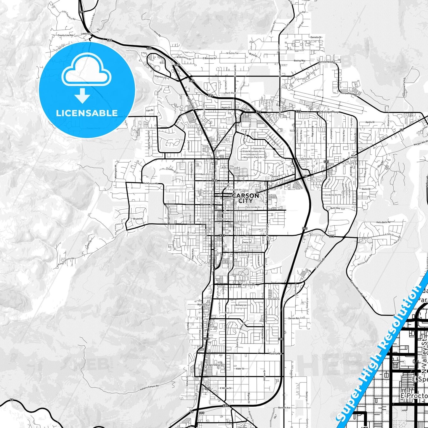 Carson City, Nevada Light Map with Street Names, City Names, and Districts
