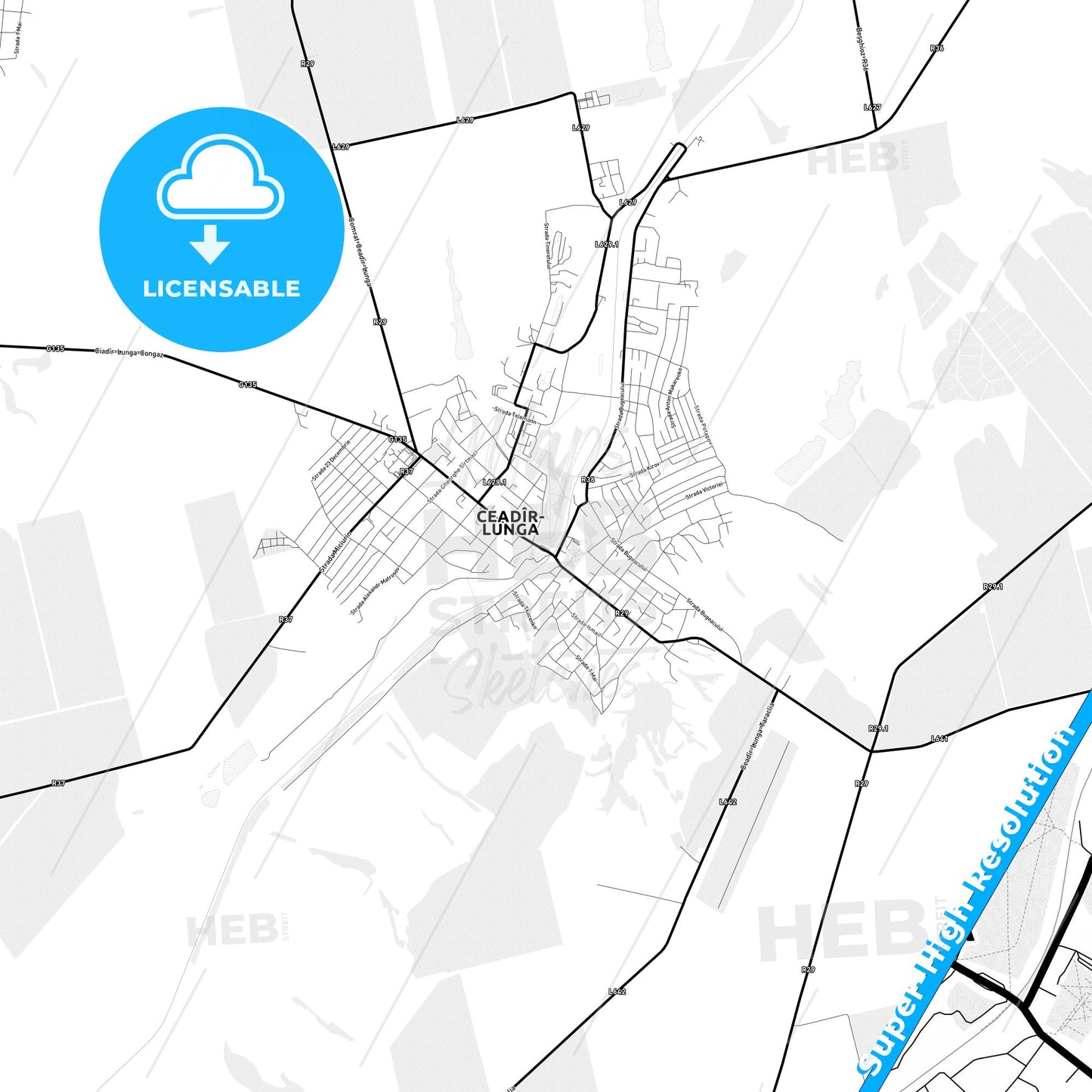 Ceadâr-Lunga, Moldova Light Map with Street Names, City Names, and Districts