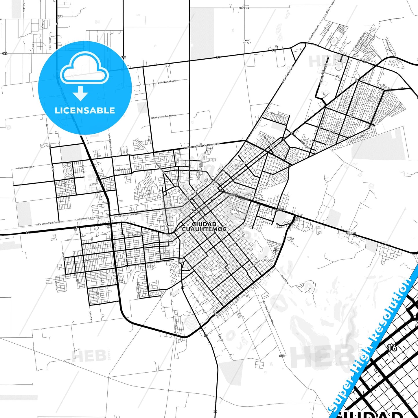 Ciudad Cuauhtémoc, Mexico Light Map with Street Names, City Names, and Districts