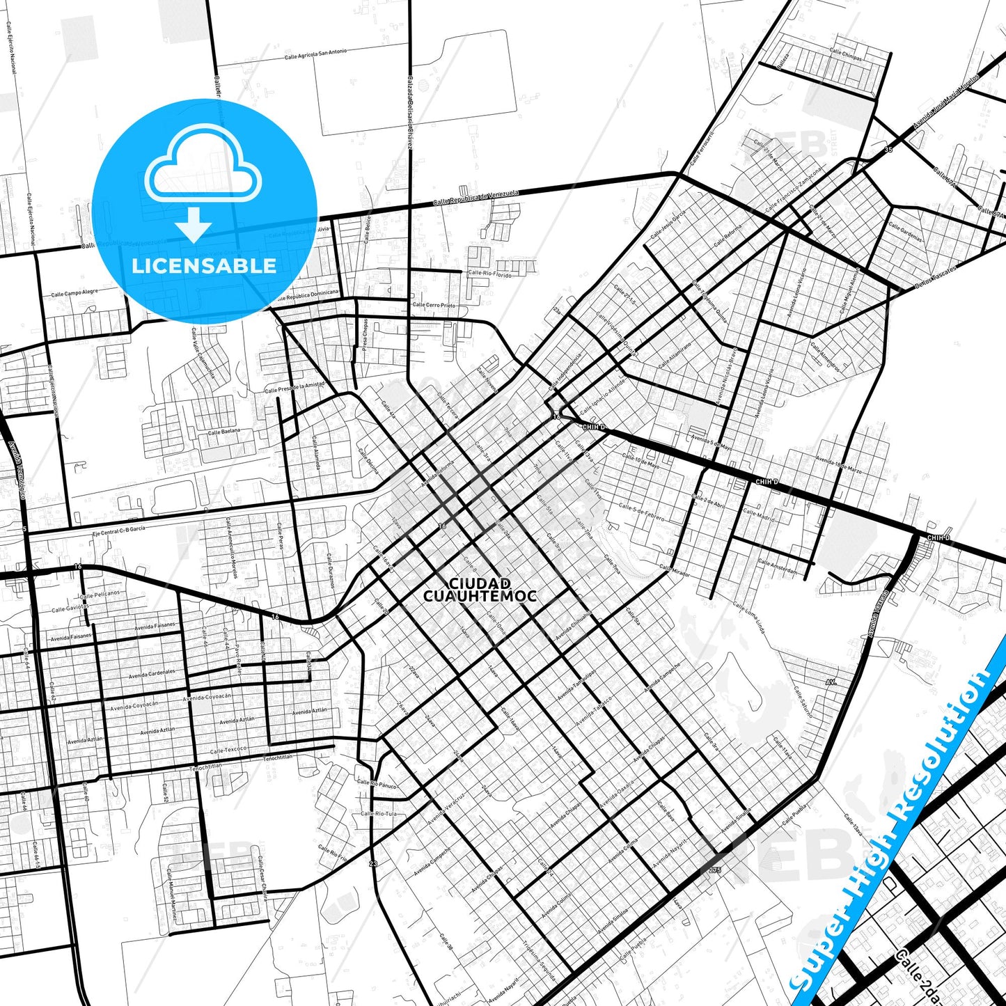 Ciudad Cuauhtémoc, Mexico Light Map with Street Names, City Names, and Districts