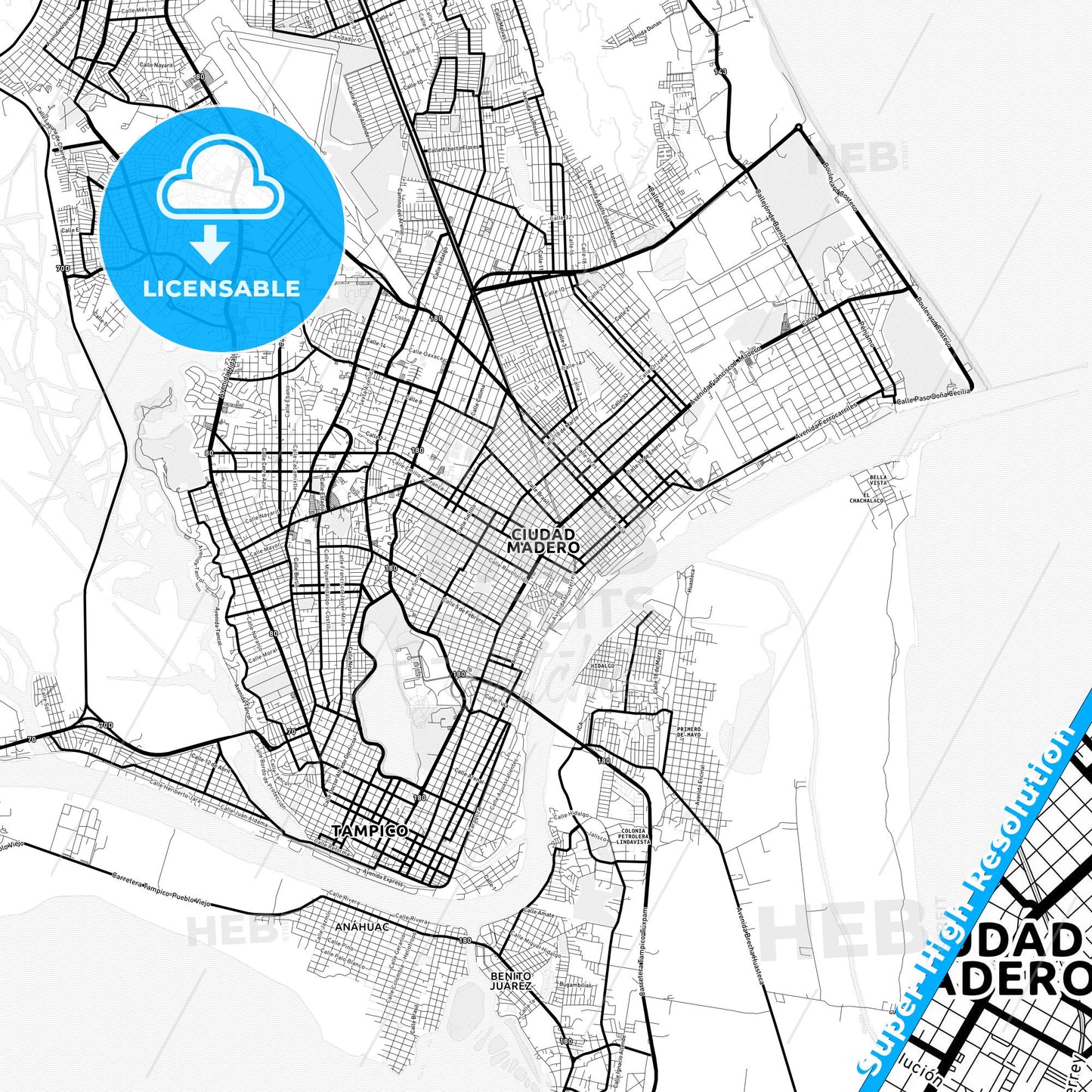 Ciudad Madero, Mexico Light Map with Street Names, City Names, and Districts