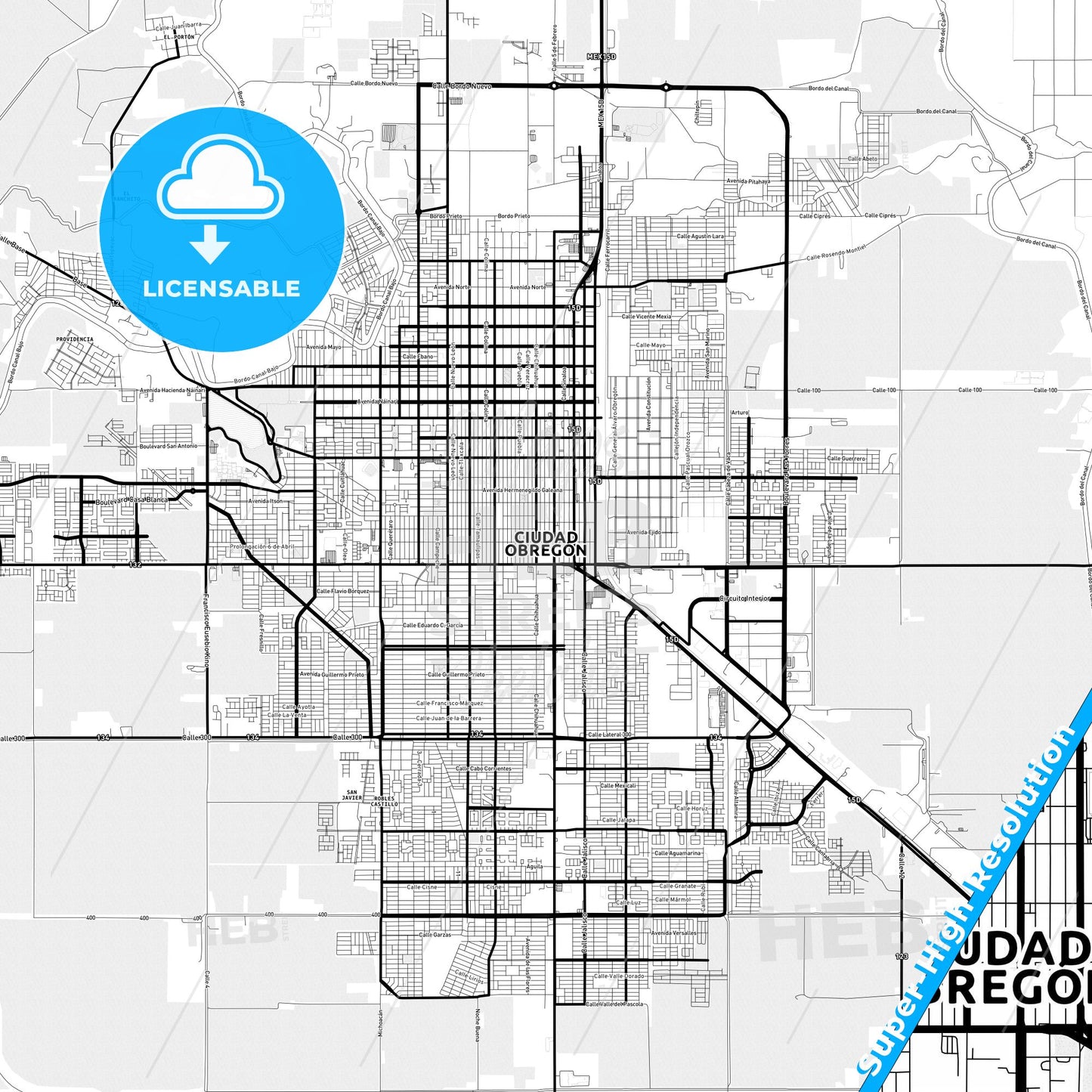 Ciudad Obregón, Mexico Light Map with Street Names, City Names, and Districts