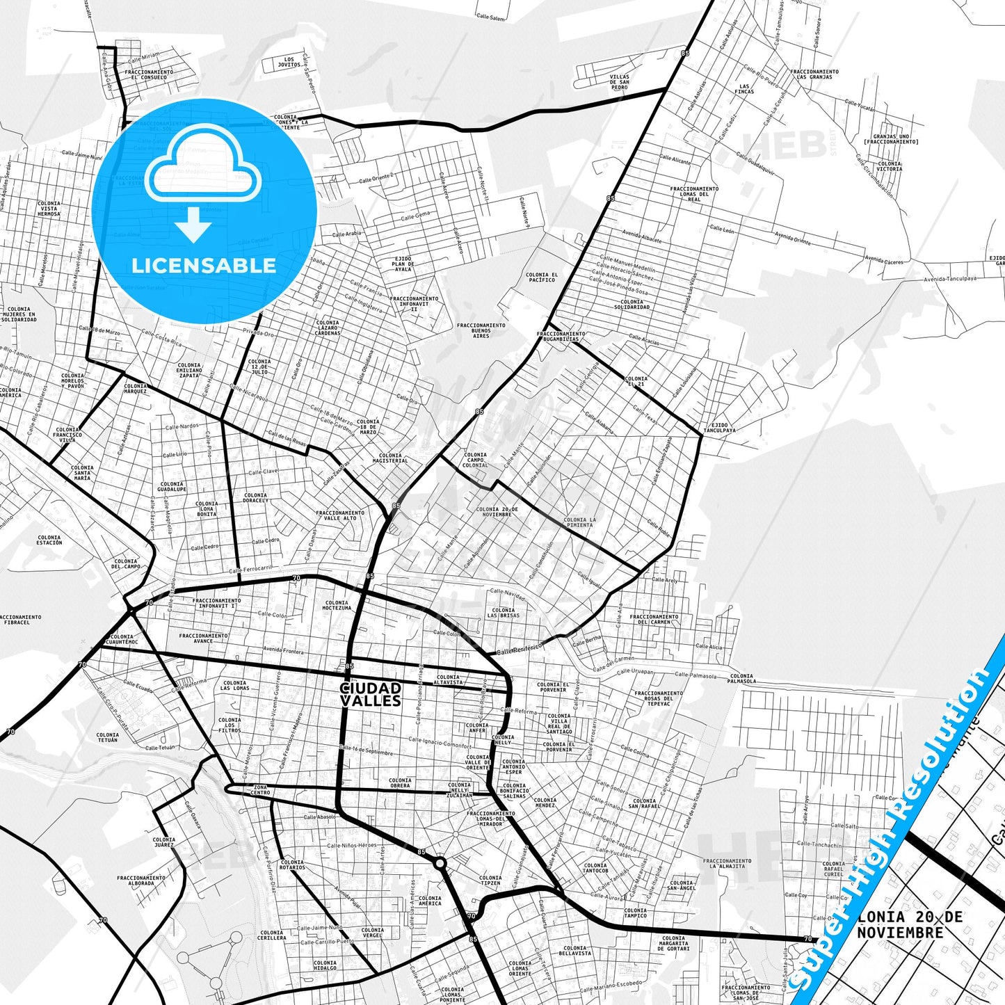 Ciudad Valles, Mexico Light Map with Street Names, City Names, and Districts