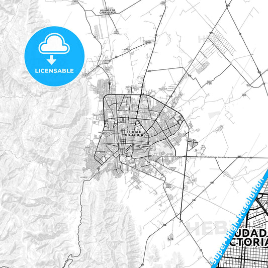 Ciudad Victoria, Mexico light map with streetnames, citynames and districts