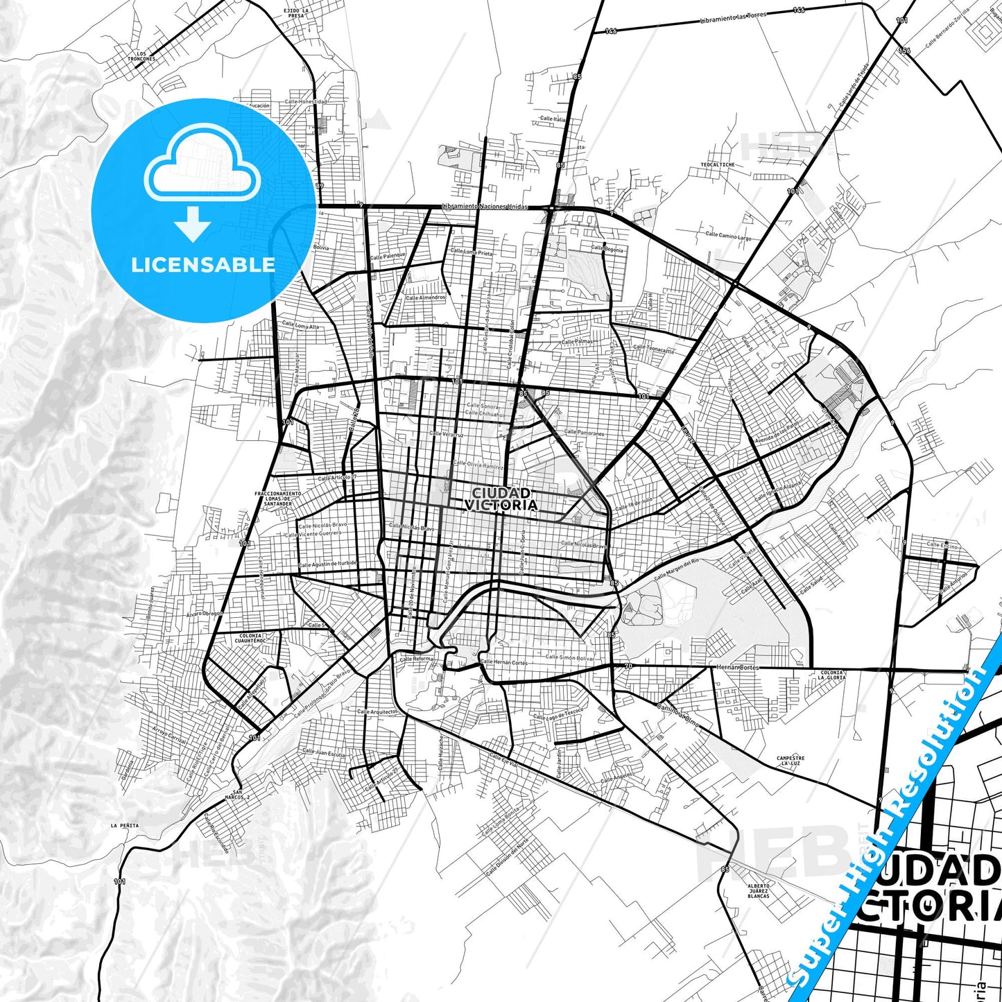 Ciudad Victoria, Mexico Light Map with Street Names, City Names, and Districts