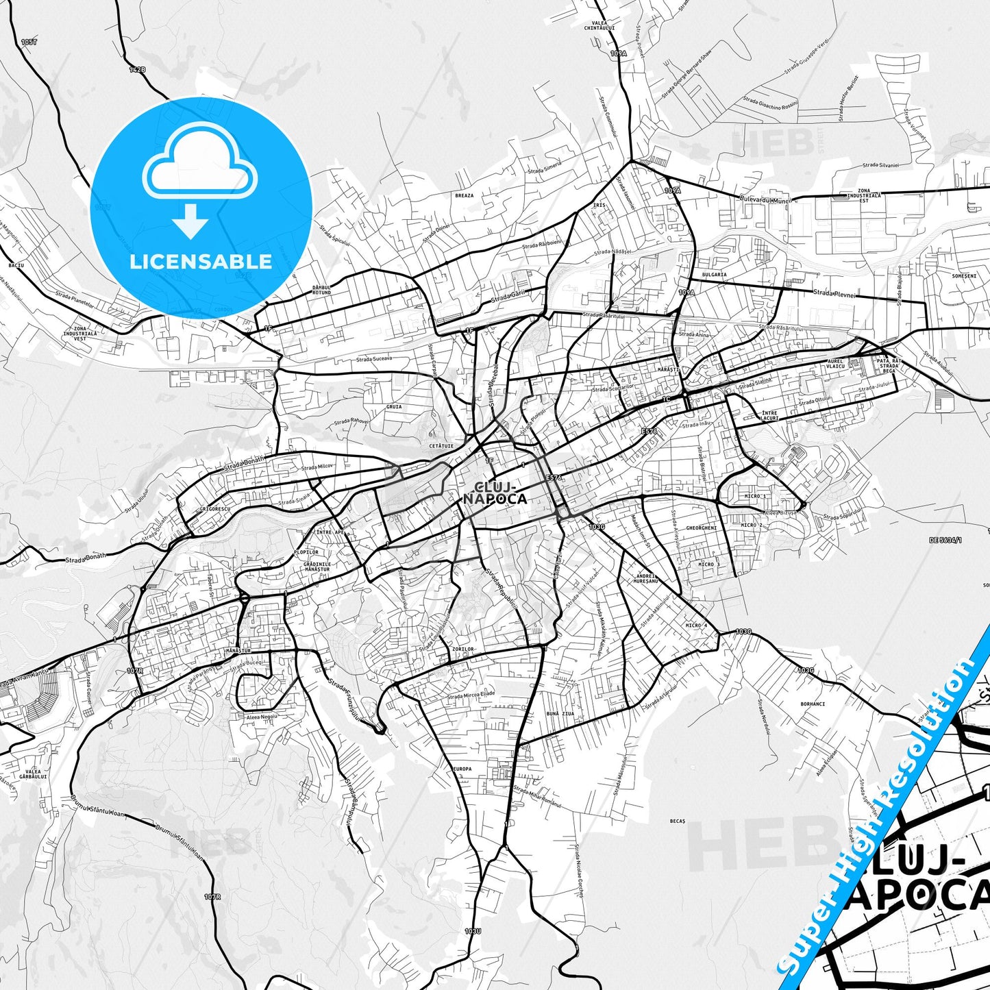 Cluj-Napoca, Romania Light Map with Street Names, City Names, and Districts