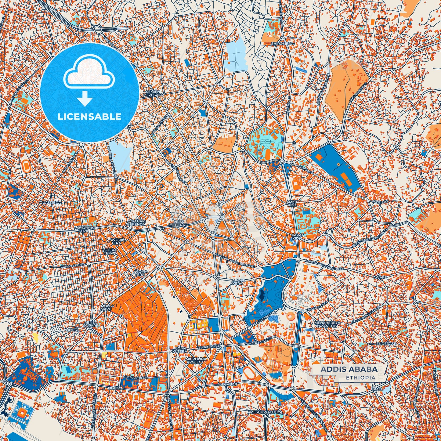 Canvas Print Template of Addis Ababa Street Map