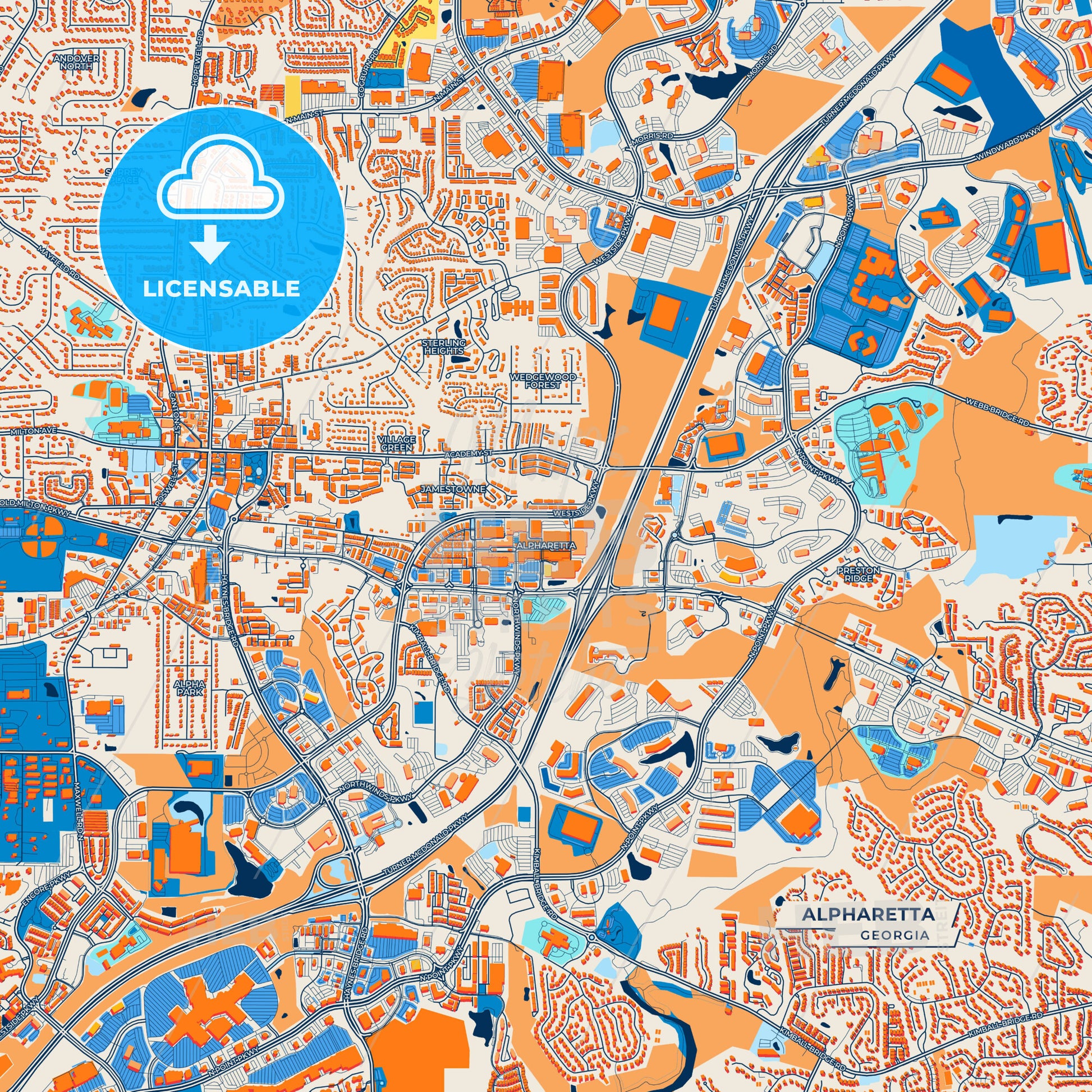 Canvas Print Template of Alpharetta Street Map